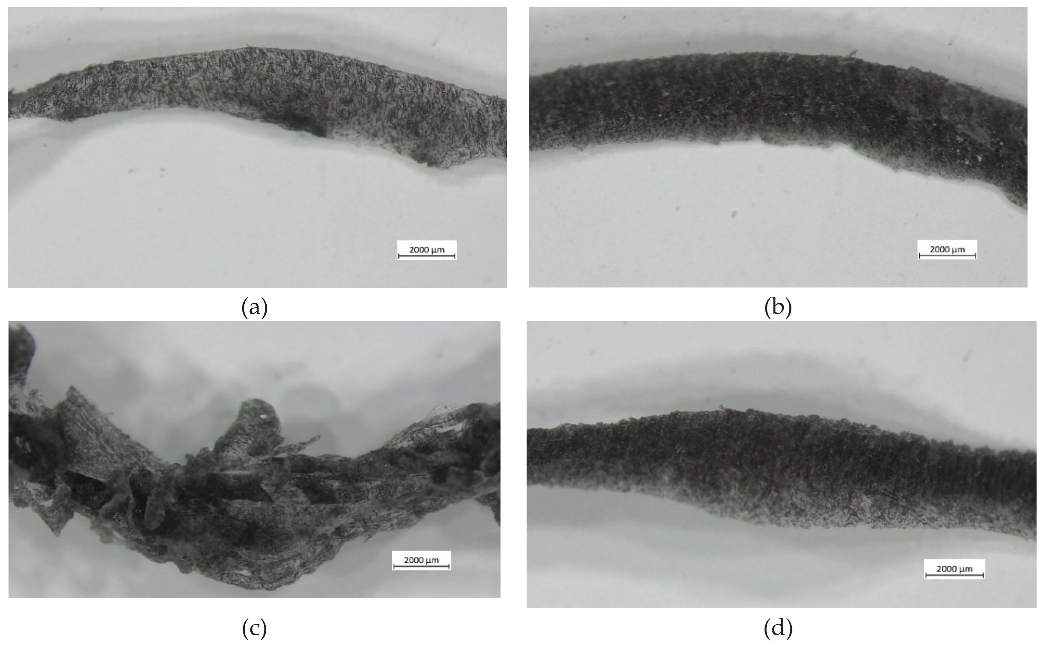 Preprints 163474 g006
