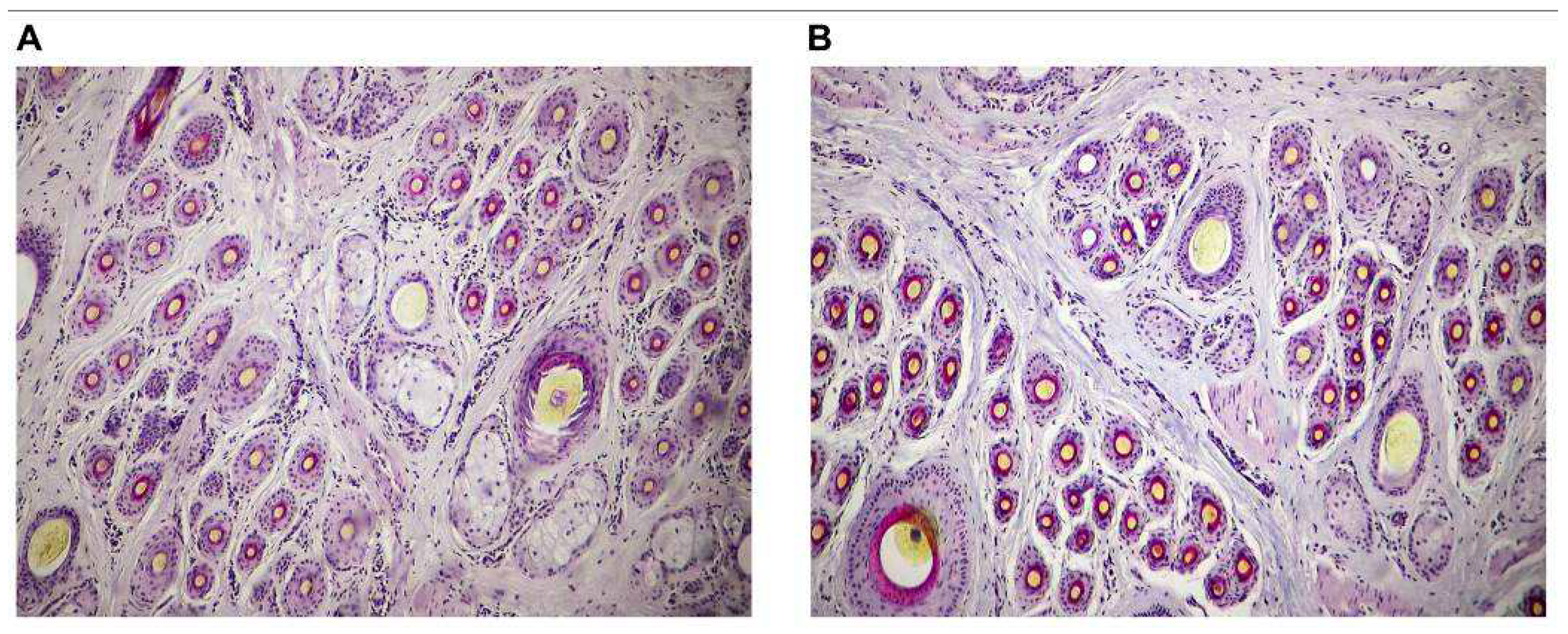 Preprints 84909 g002
