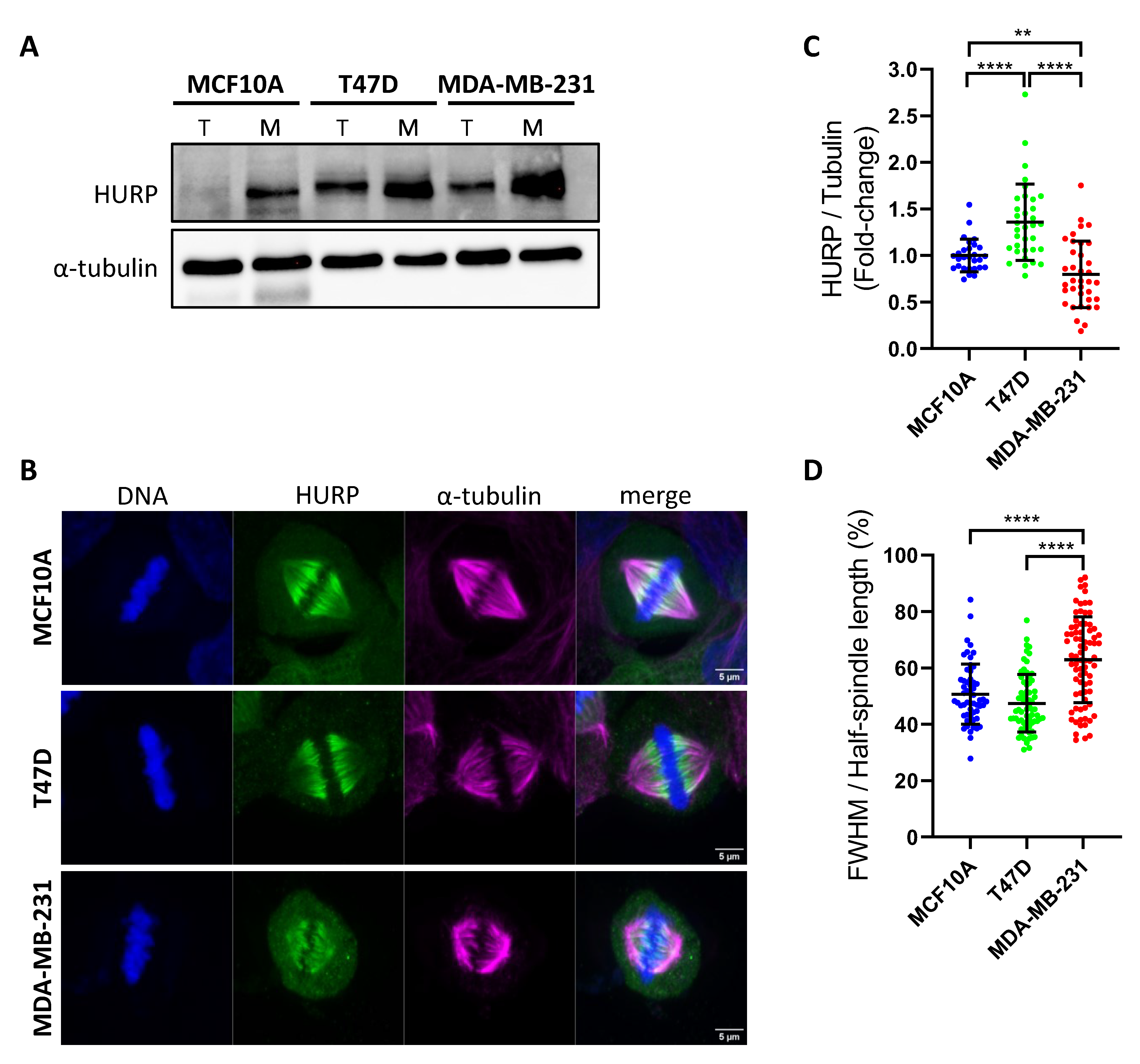 Preprints 171502 g001