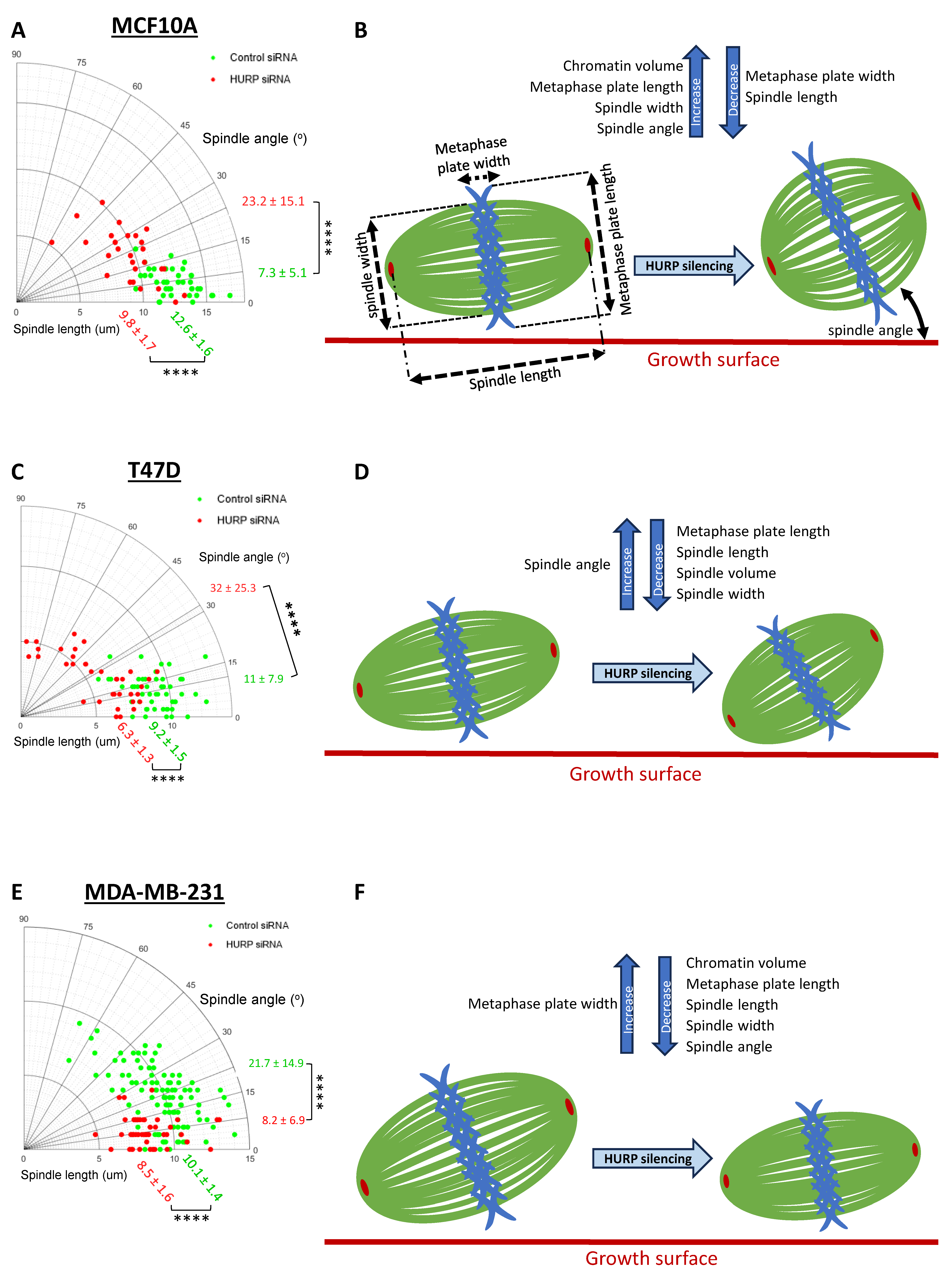 Preprints 171502 g002
