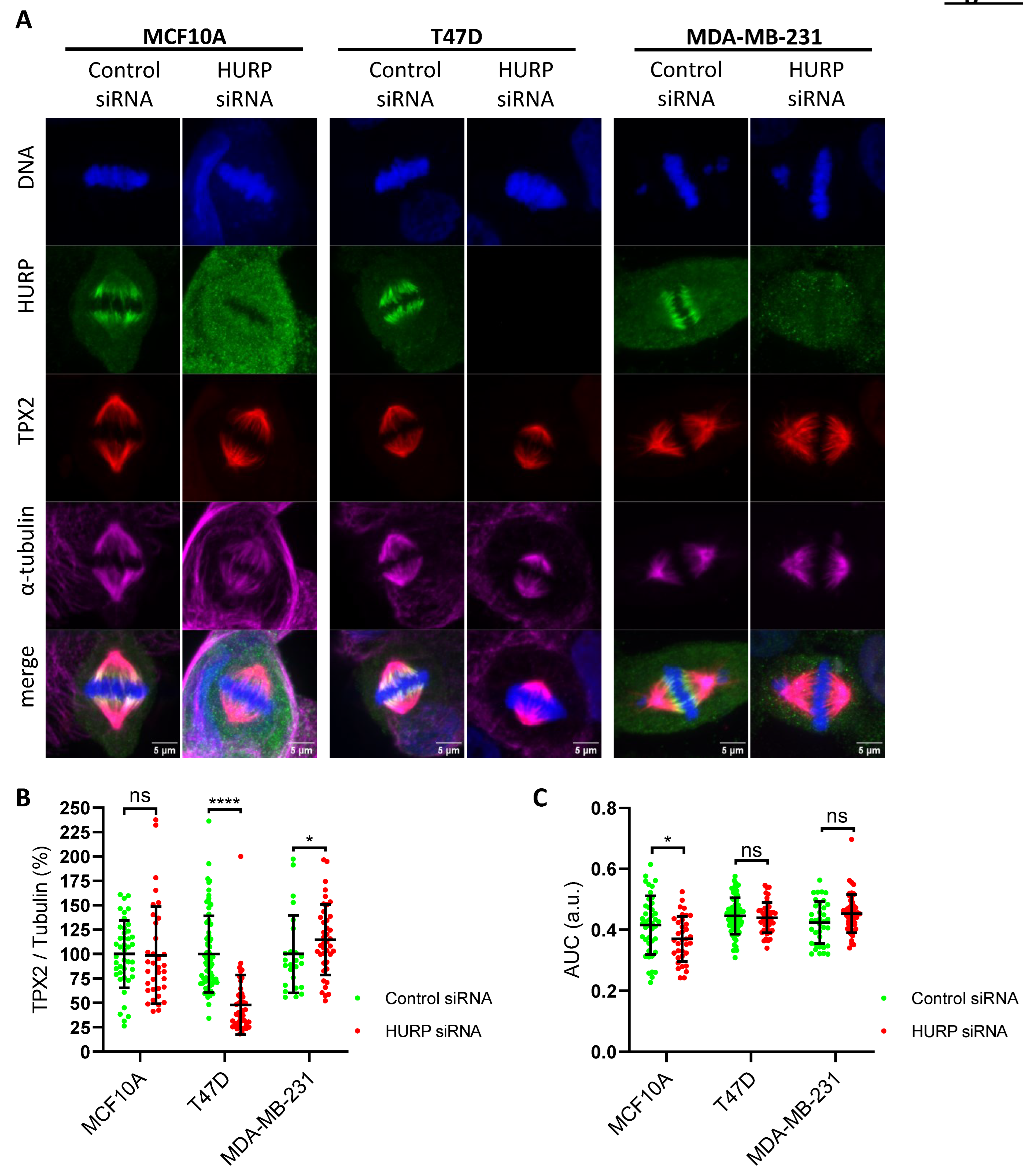 Preprints 171502 g003