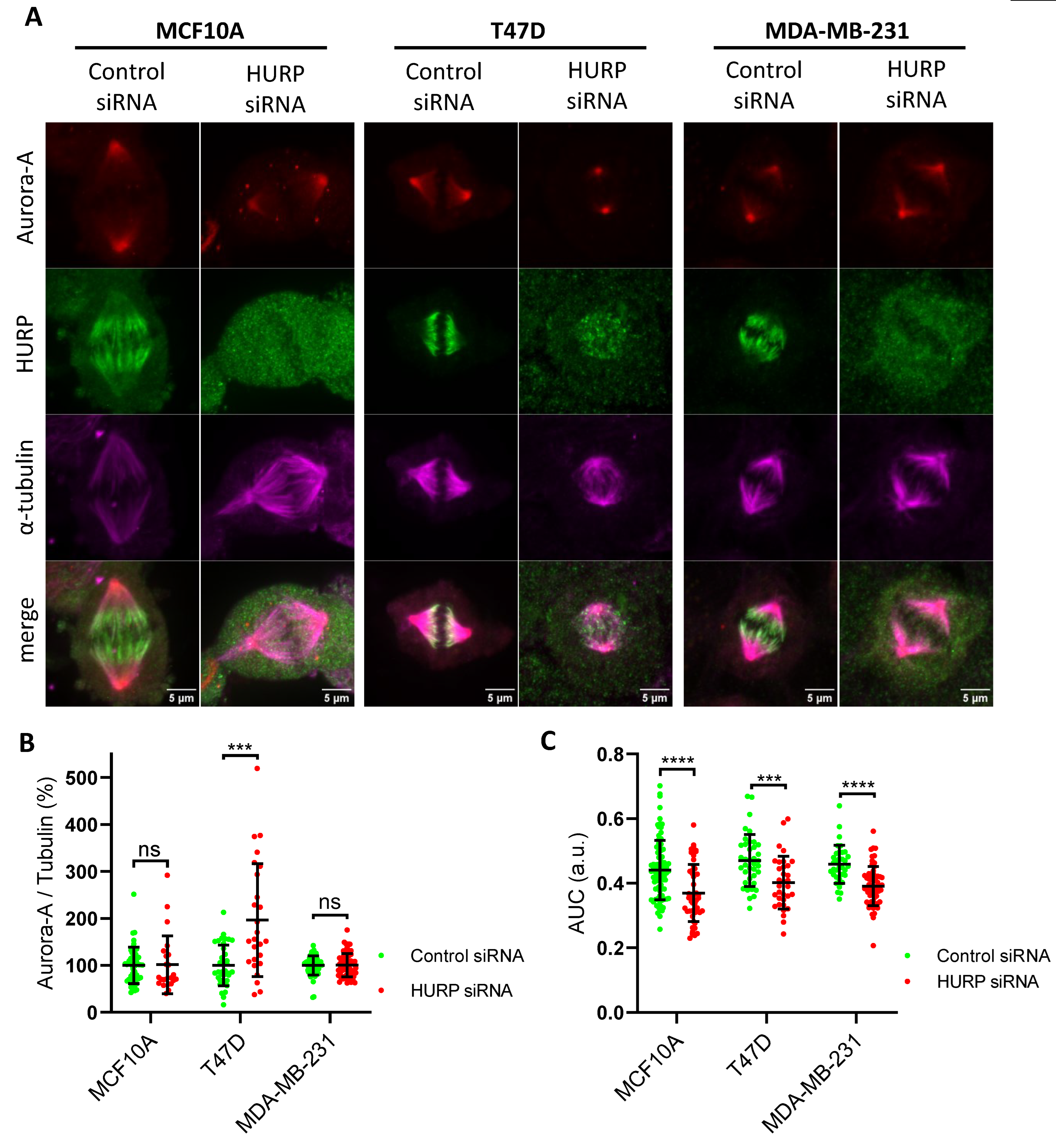 Preprints 171502 g004