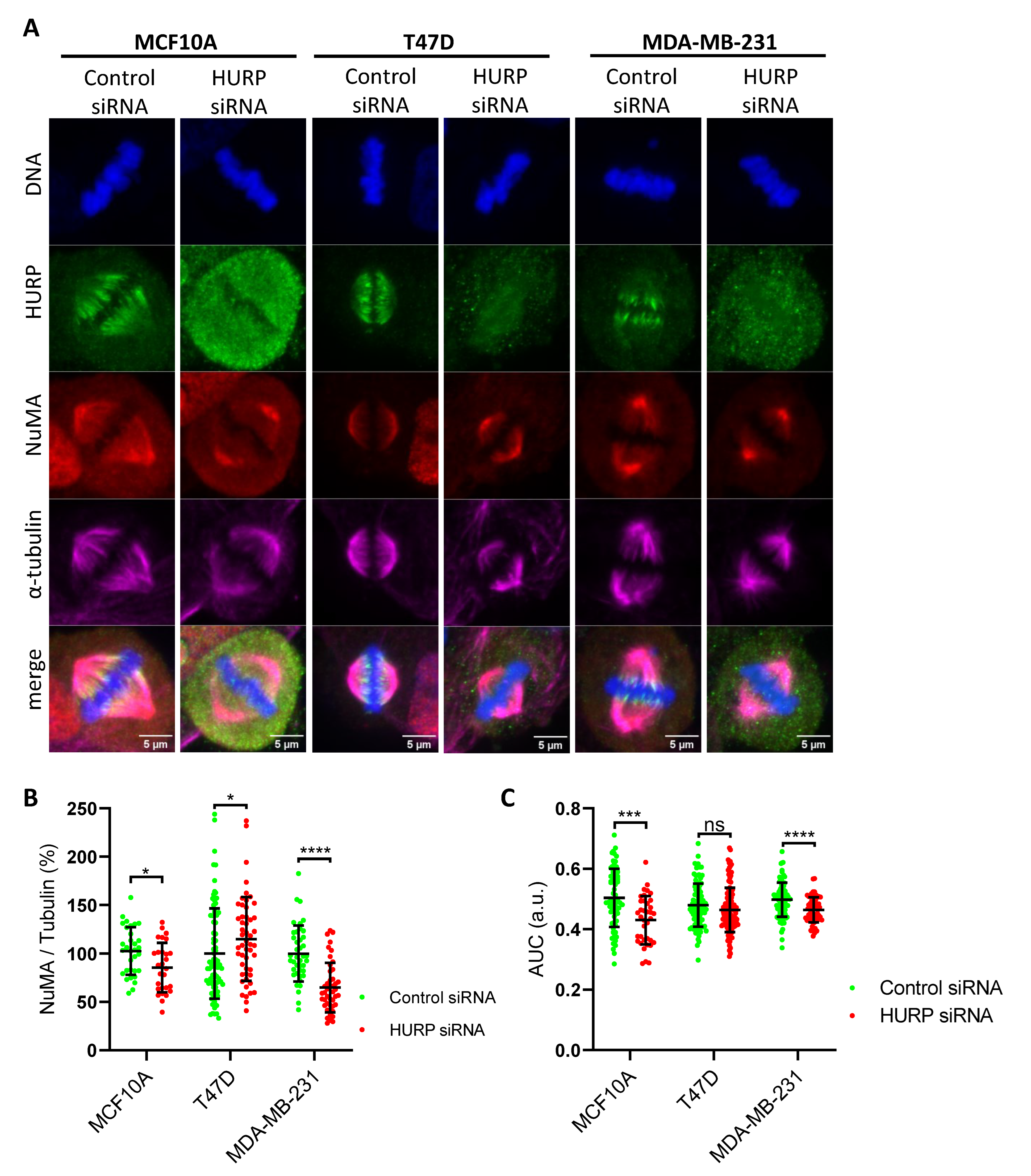 Preprints 171502 g005