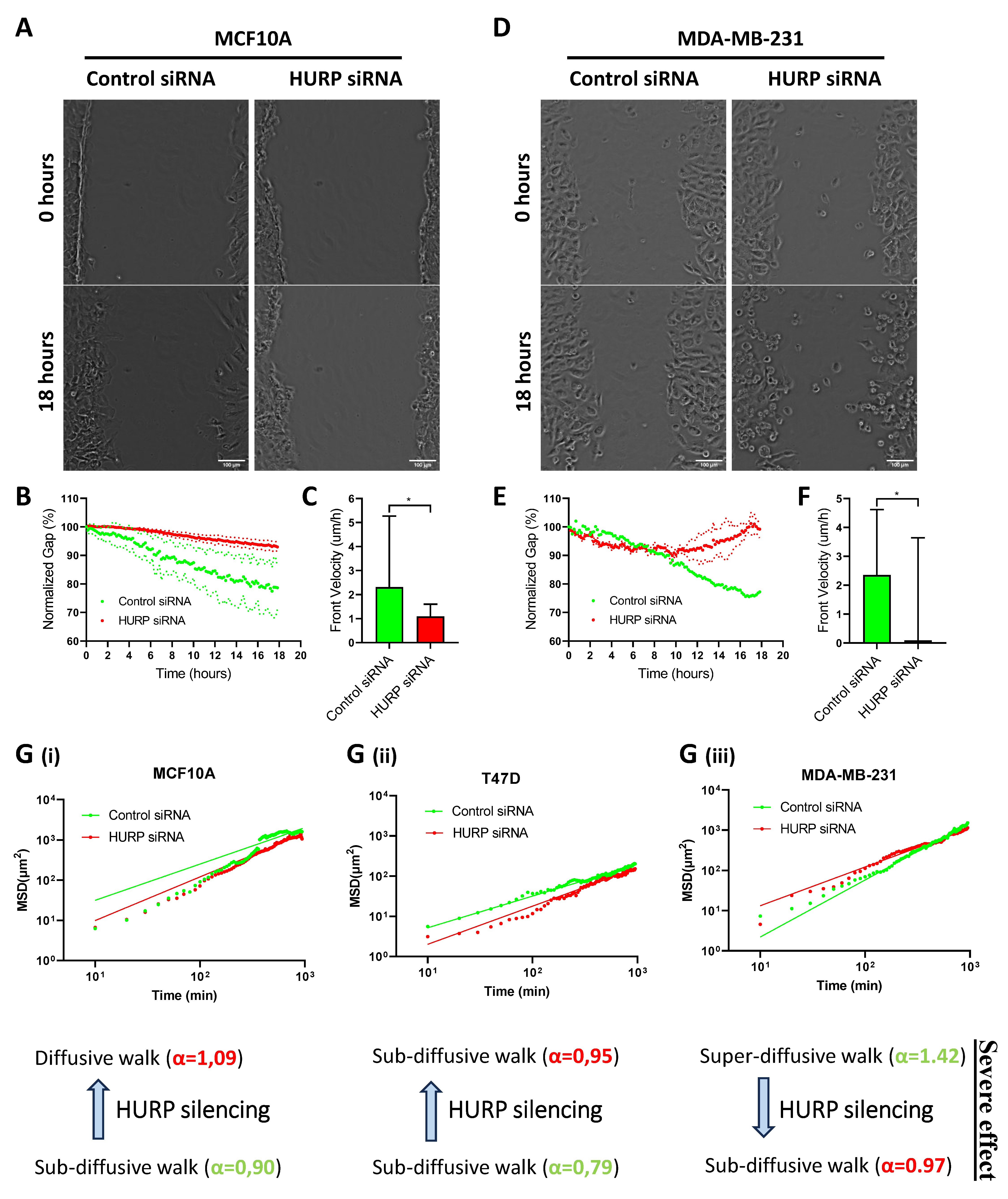 Preprints 171502 g006