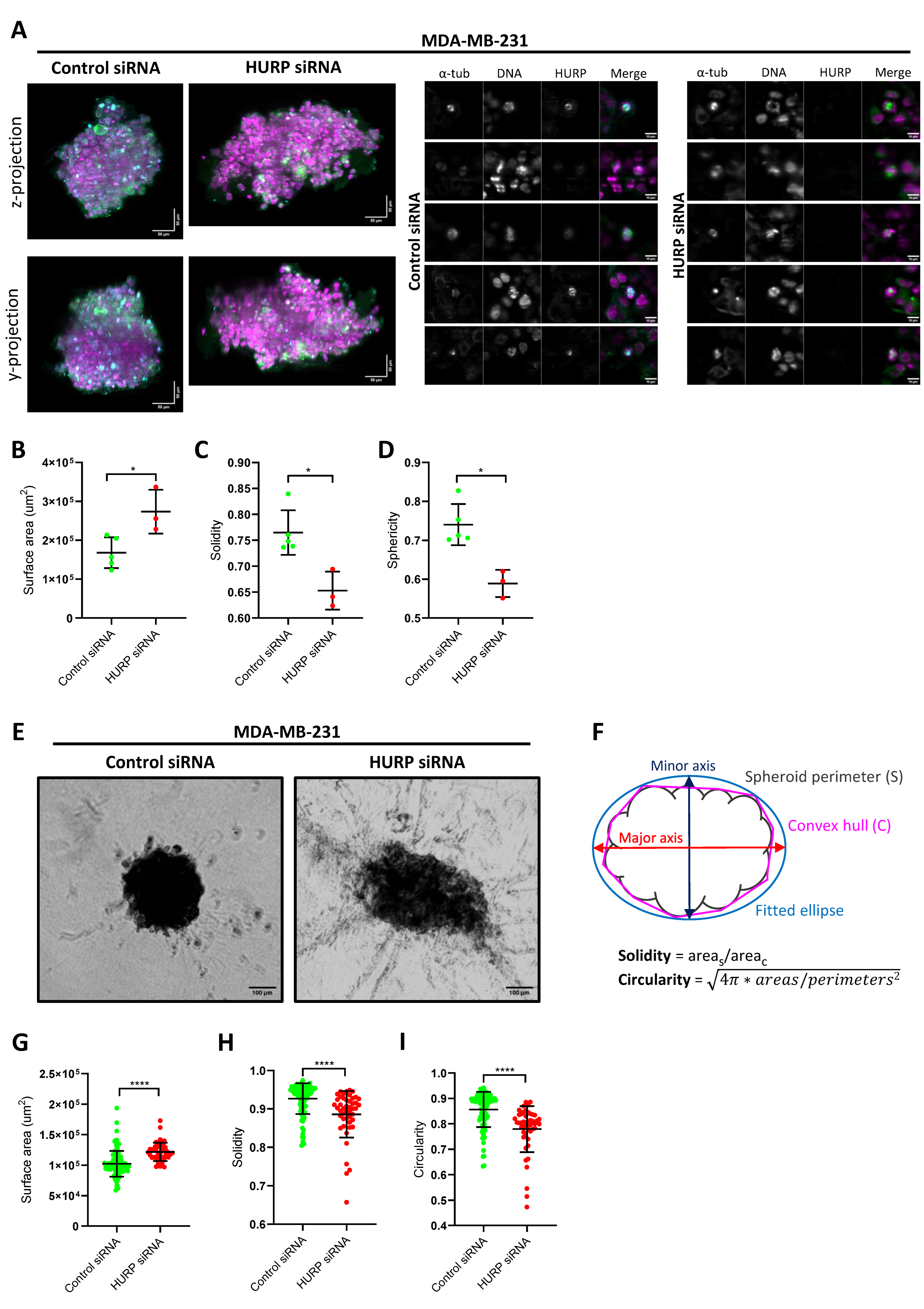 Preprints 171502 g007