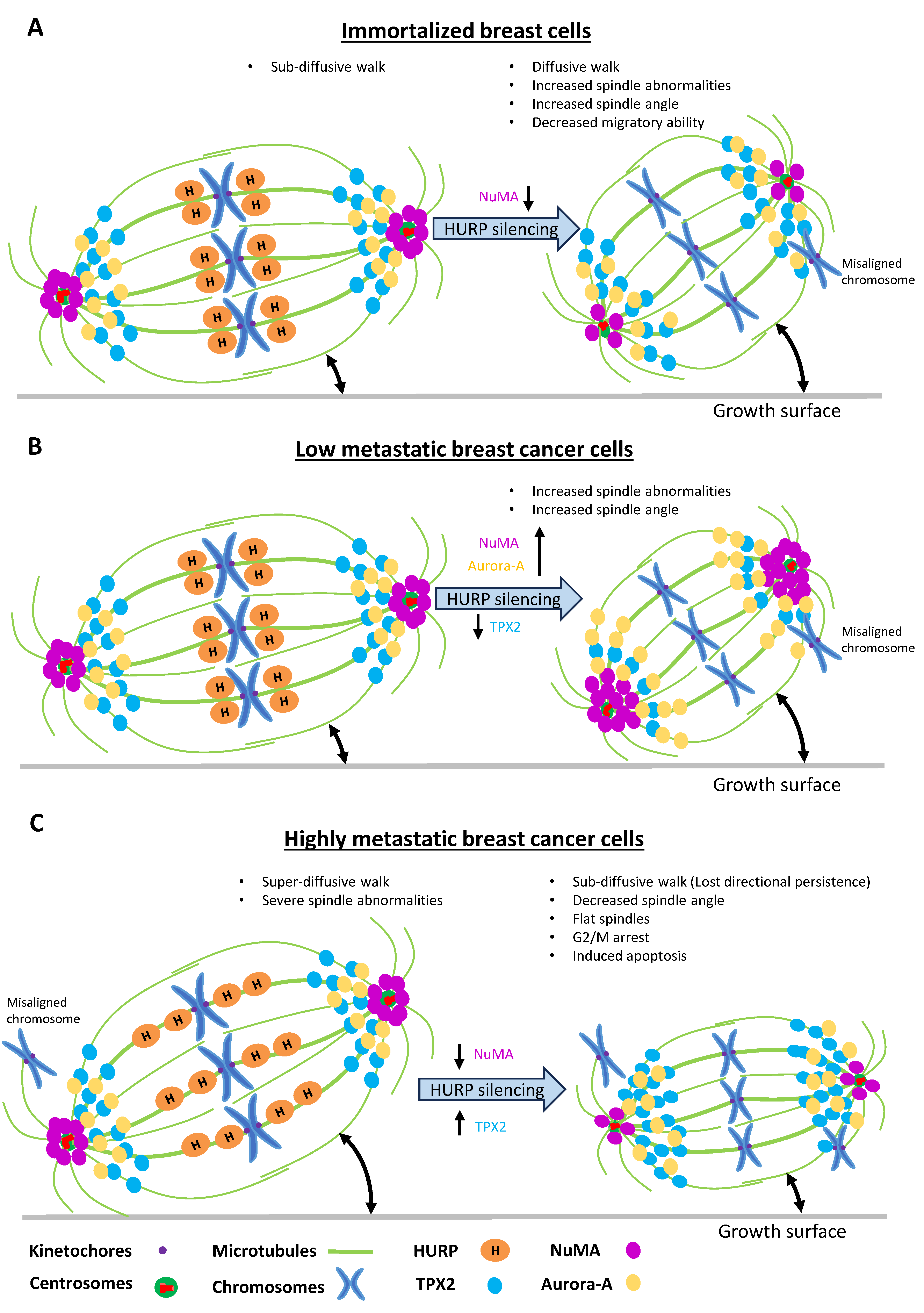 Preprints 171502 g008