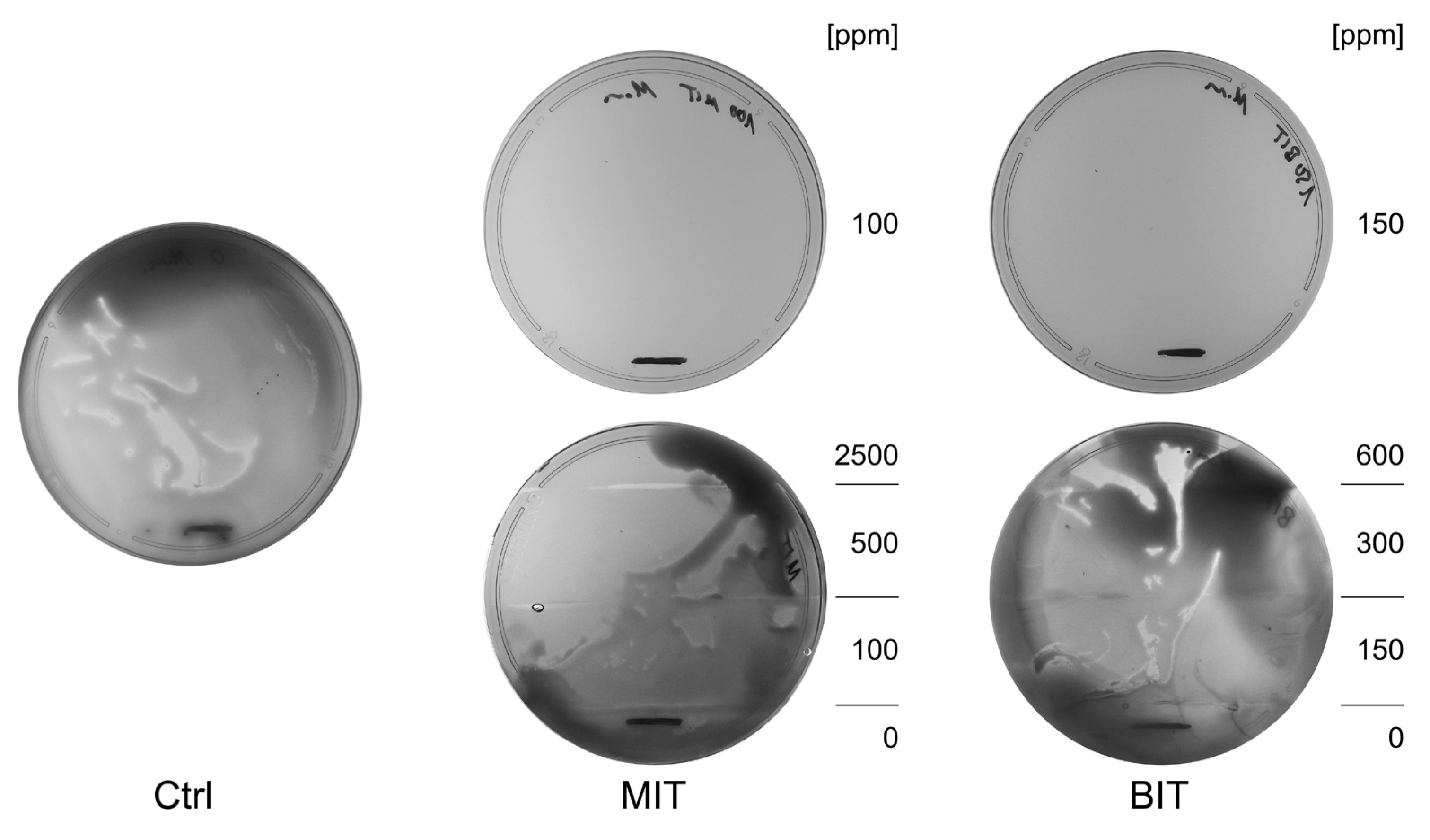 Preprints 158135 g001