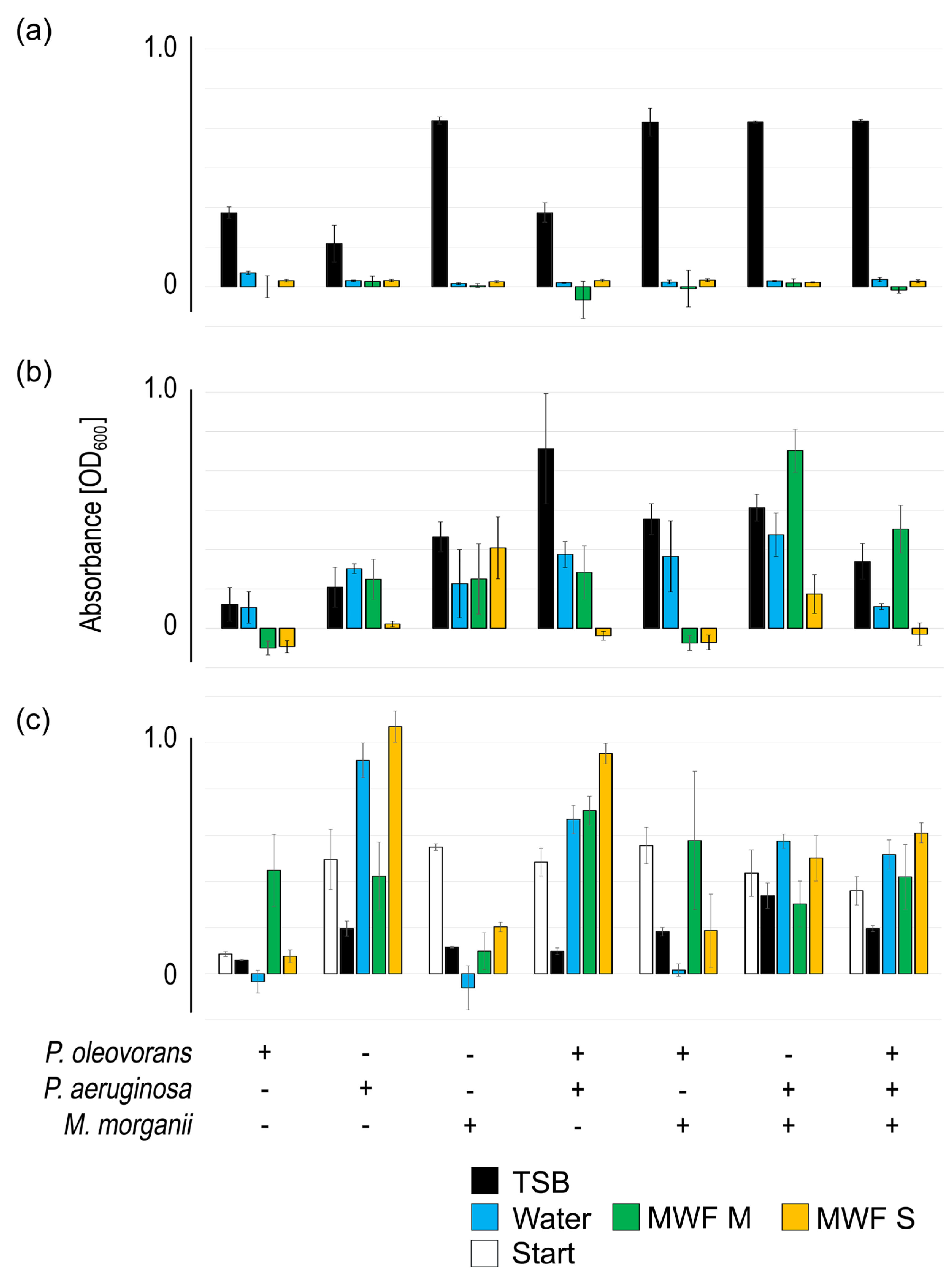 Preprints 158135 g003