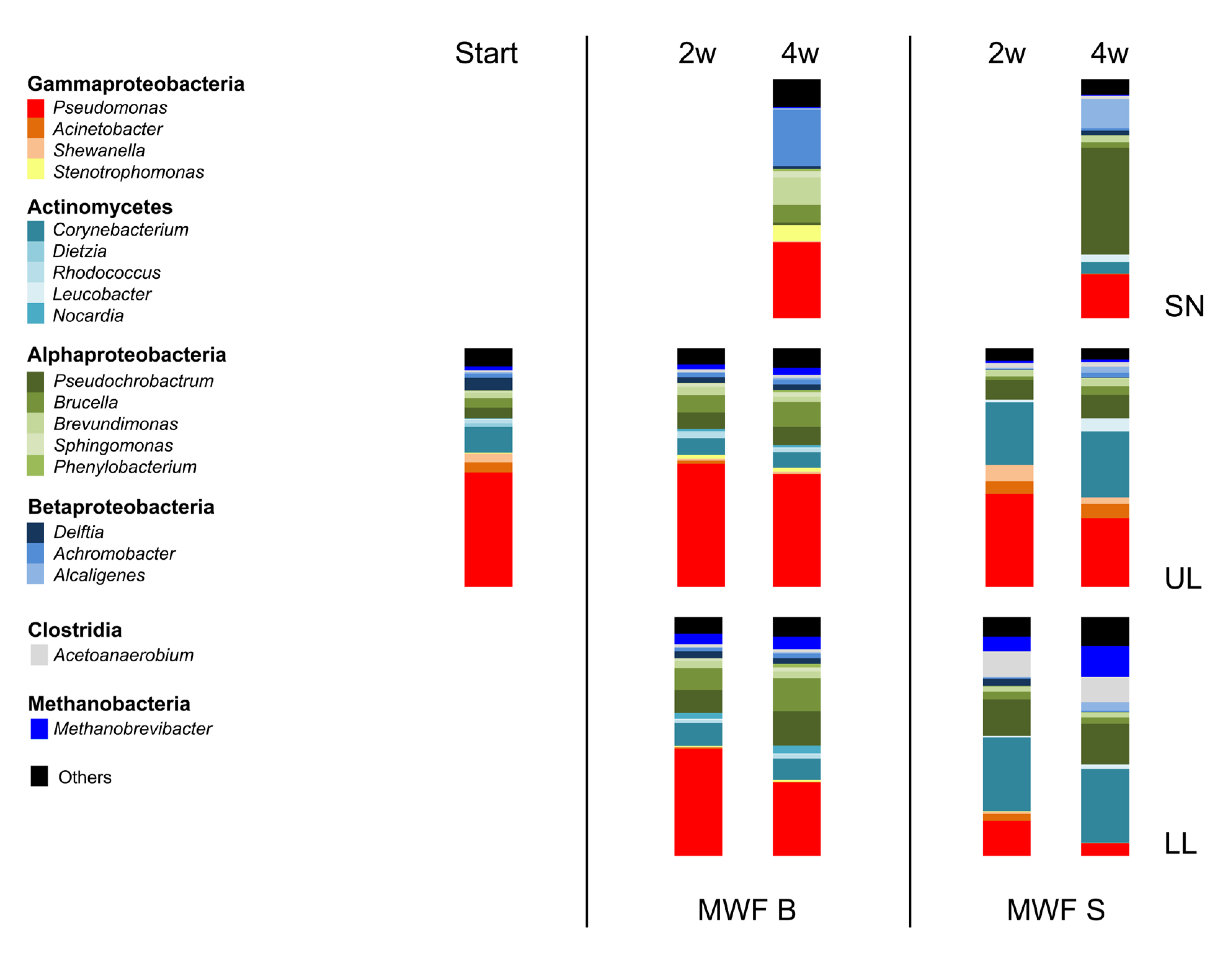 Preprints 158135 g004