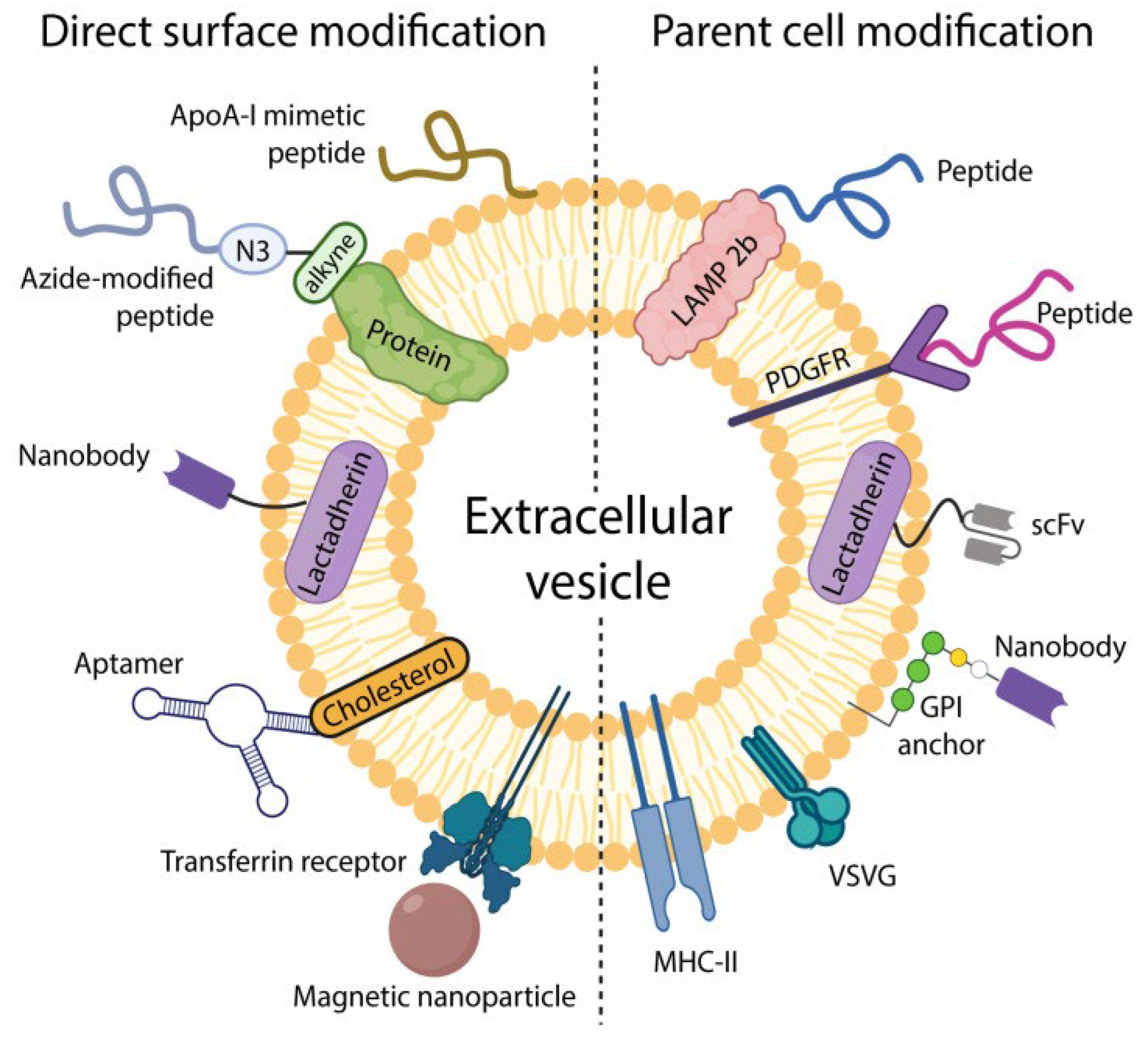 〜as〜 1/18 Minichamps 1957 Mercedes-Benz 300SL Roadster (W198