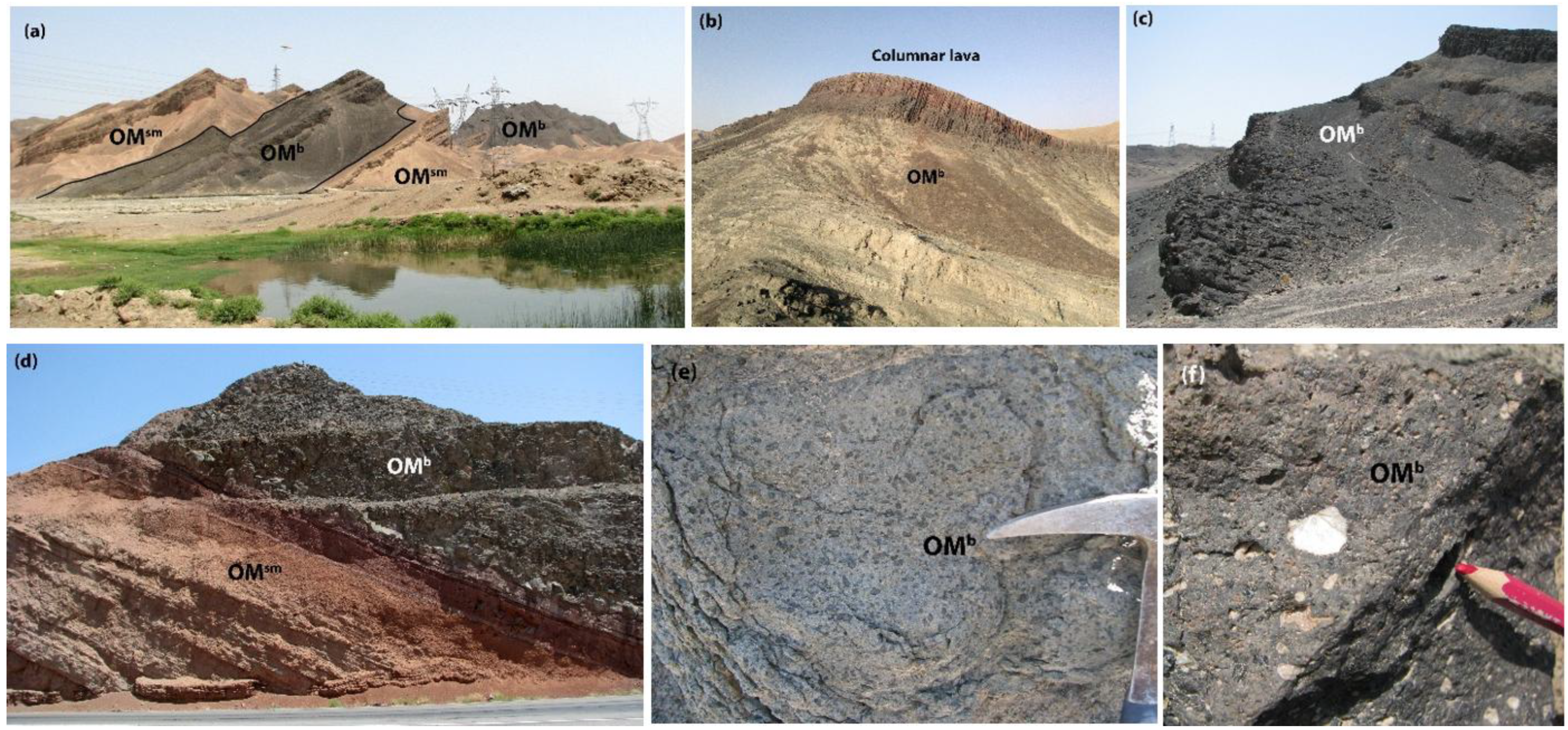Preprints 154824 g002