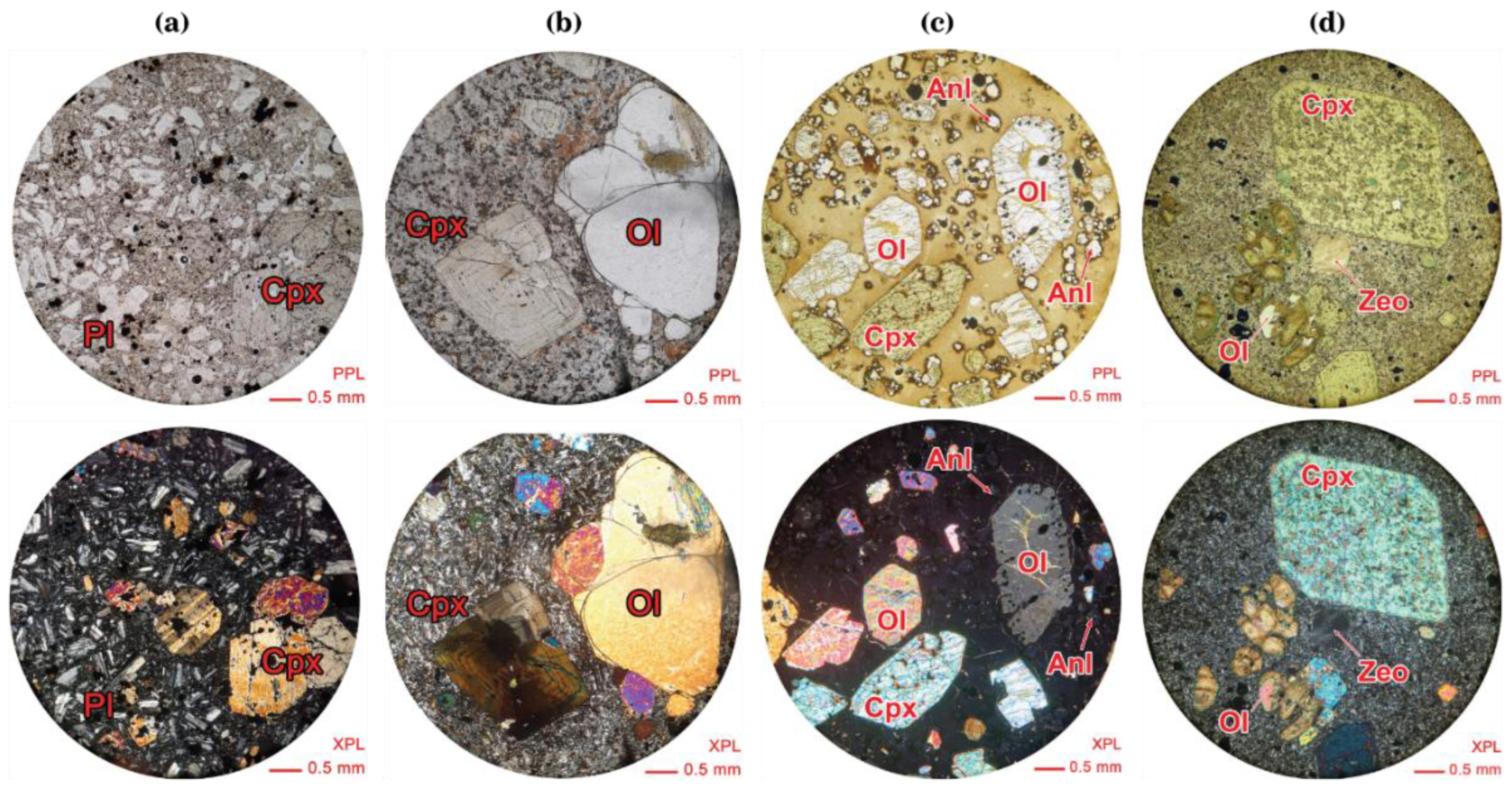 Preprints 154824 g003