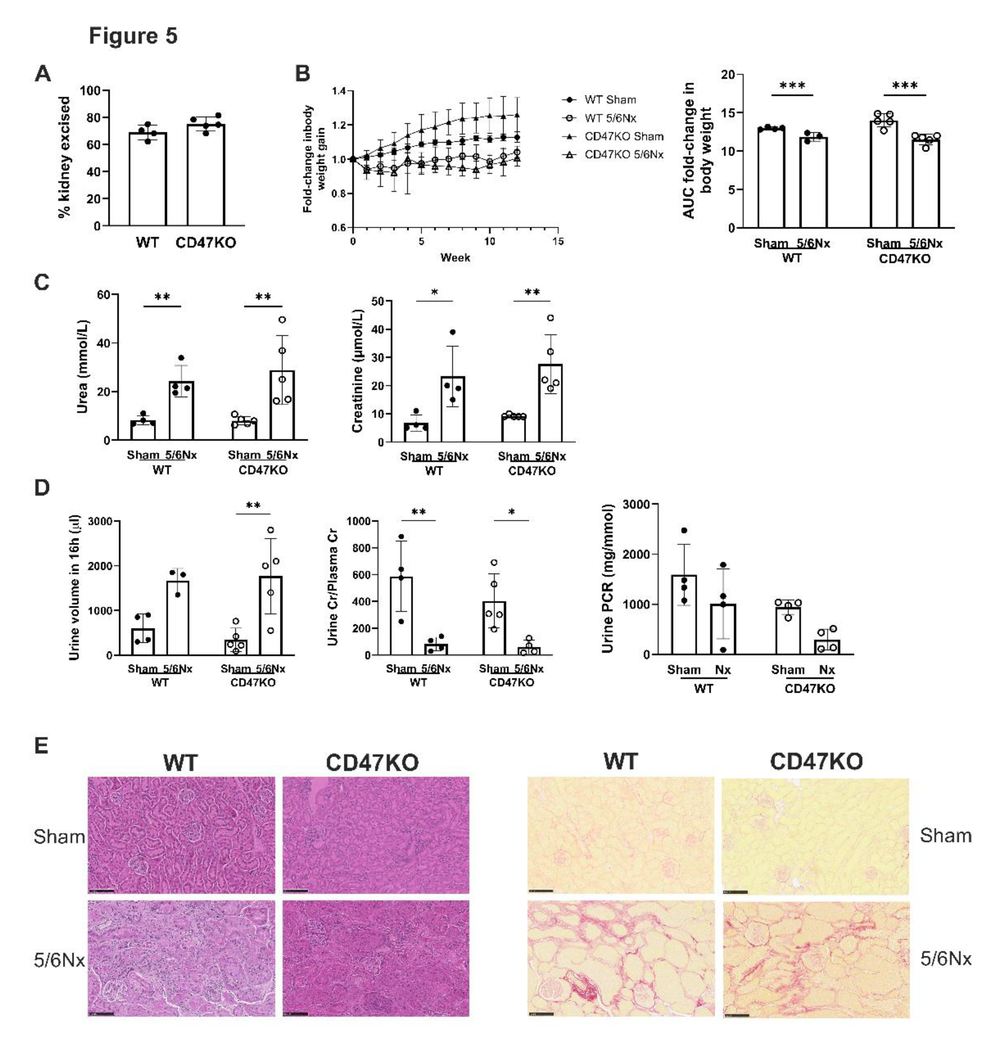 Preprints 177828 g005
