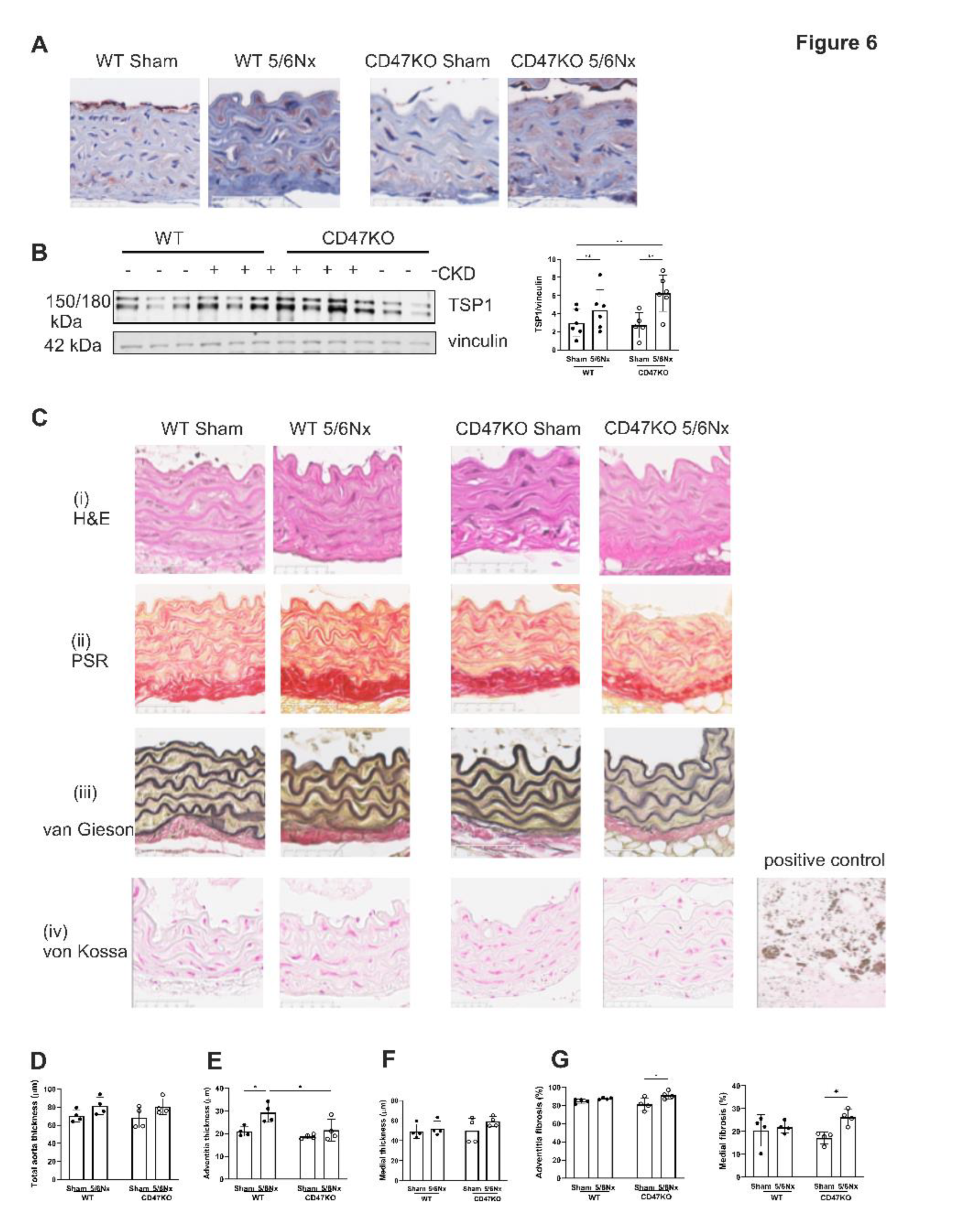 Preprints 177828 g006