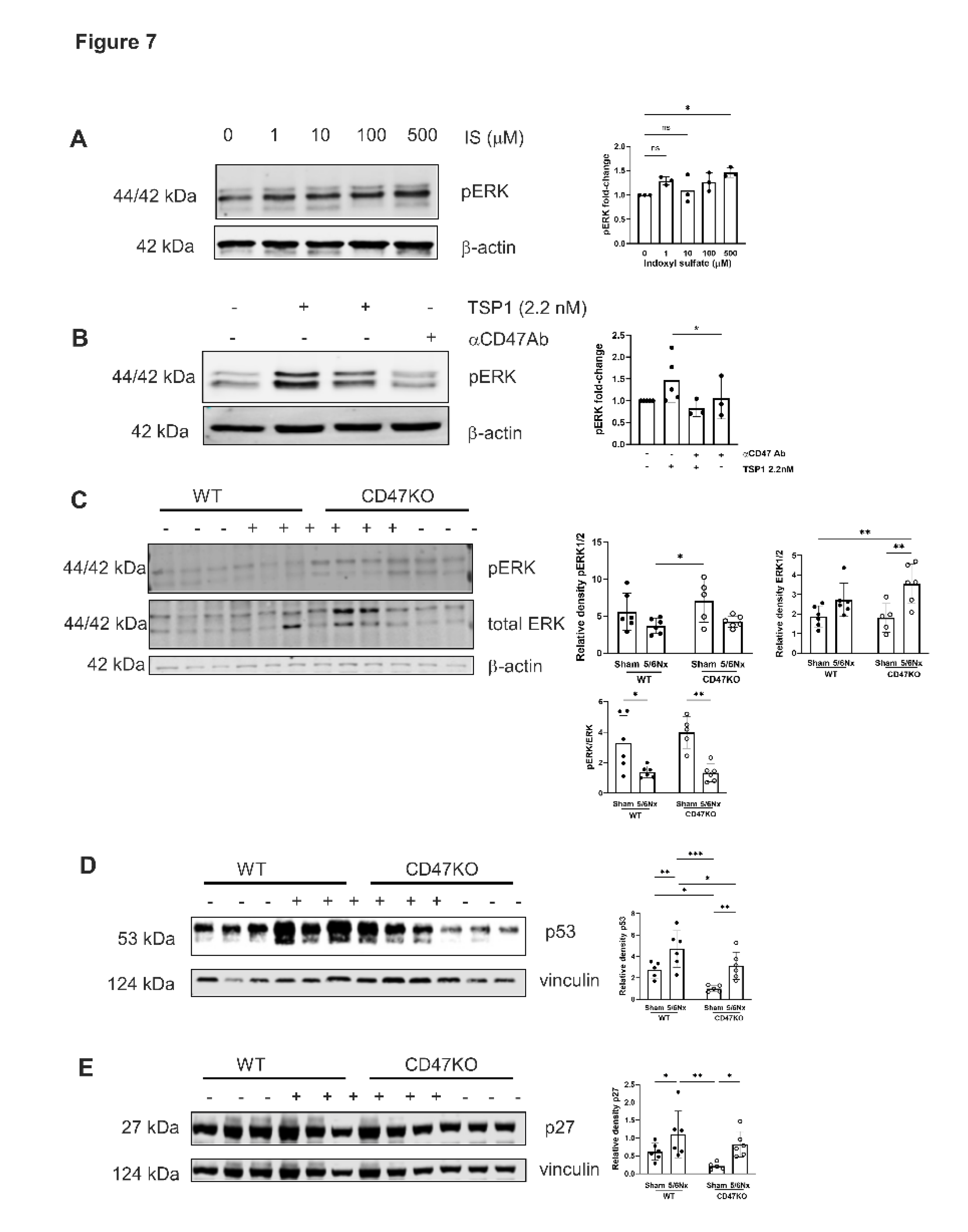 Preprints 177828 g007