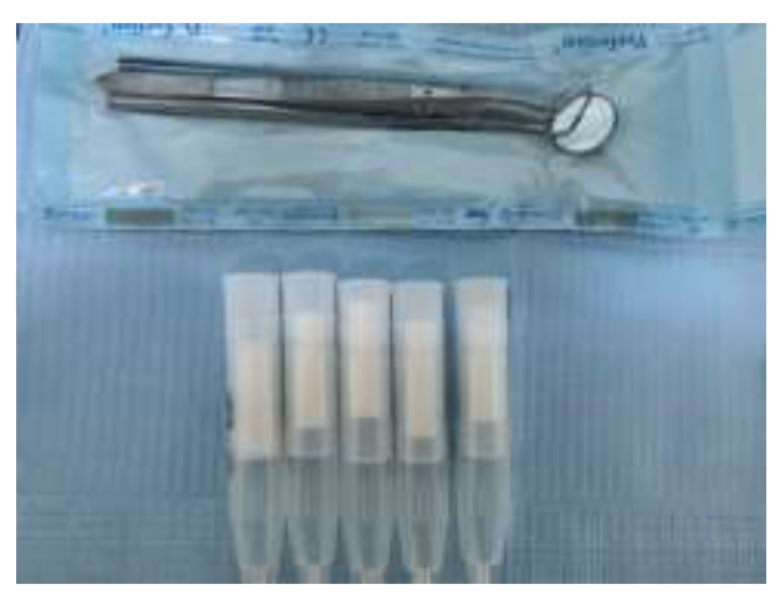 Preprints 199273 g002