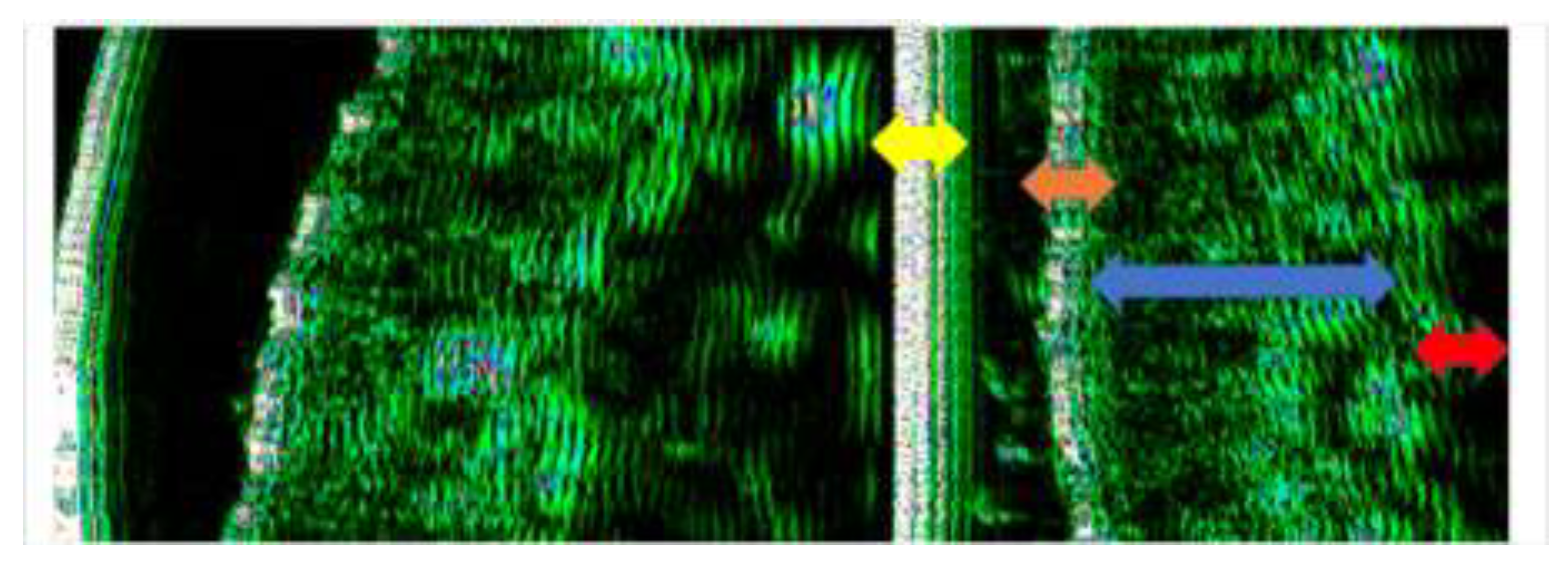 Preprints 199273 g003