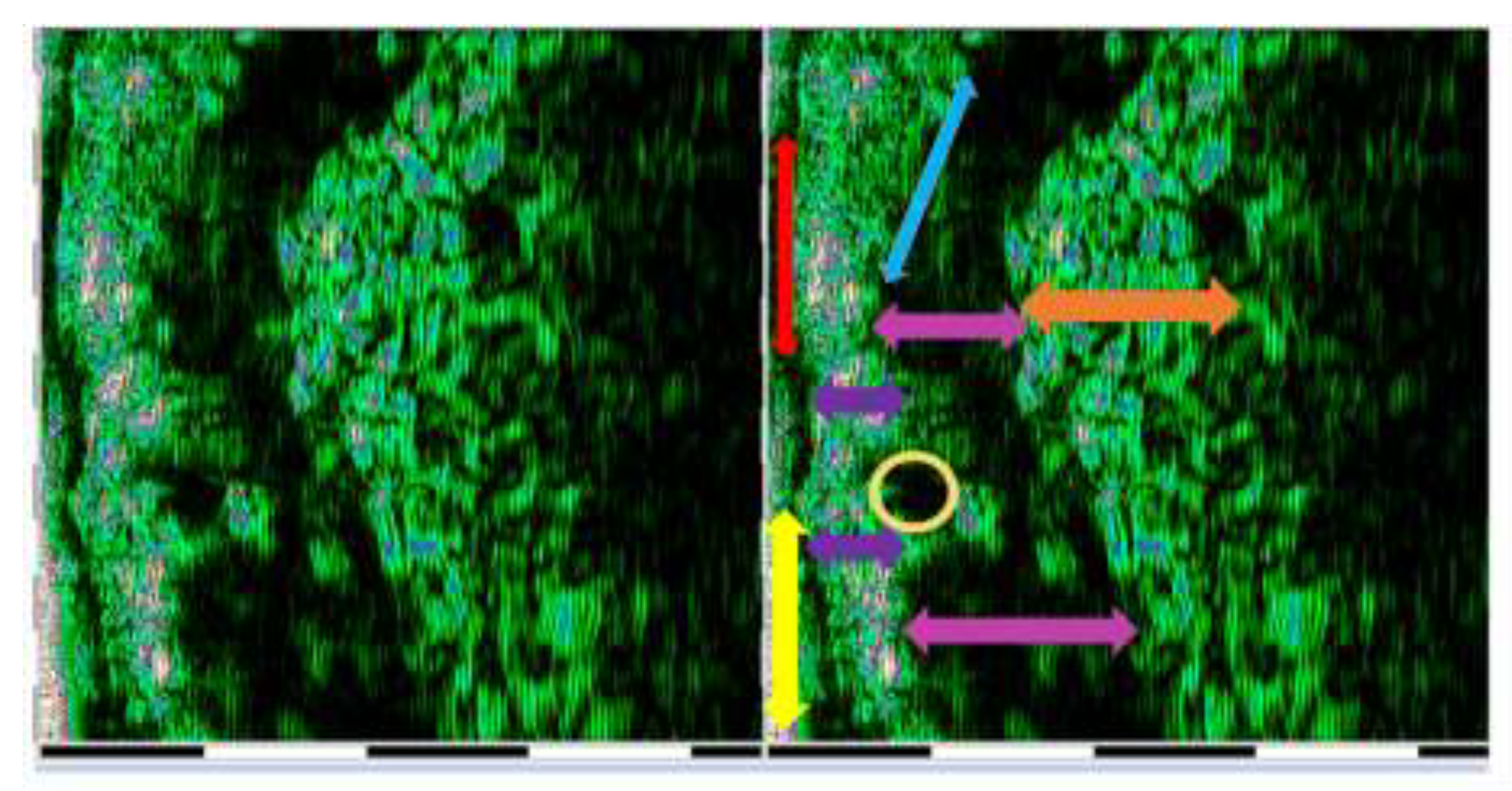 Preprints 199273 g004
