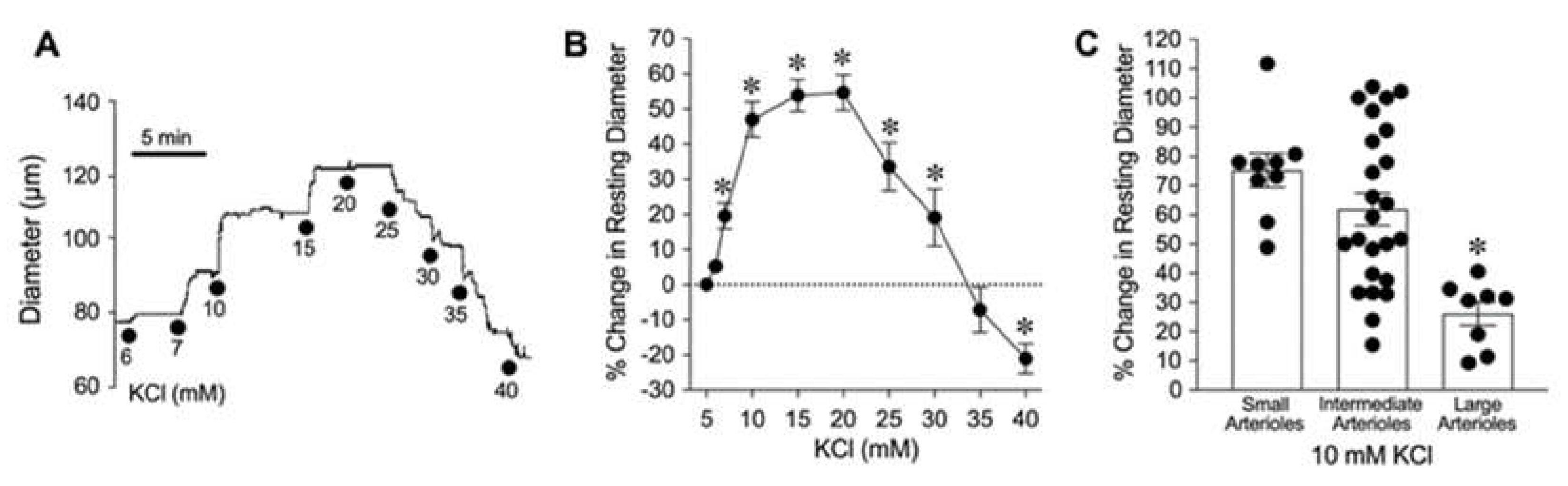 Preprints 144849 g001