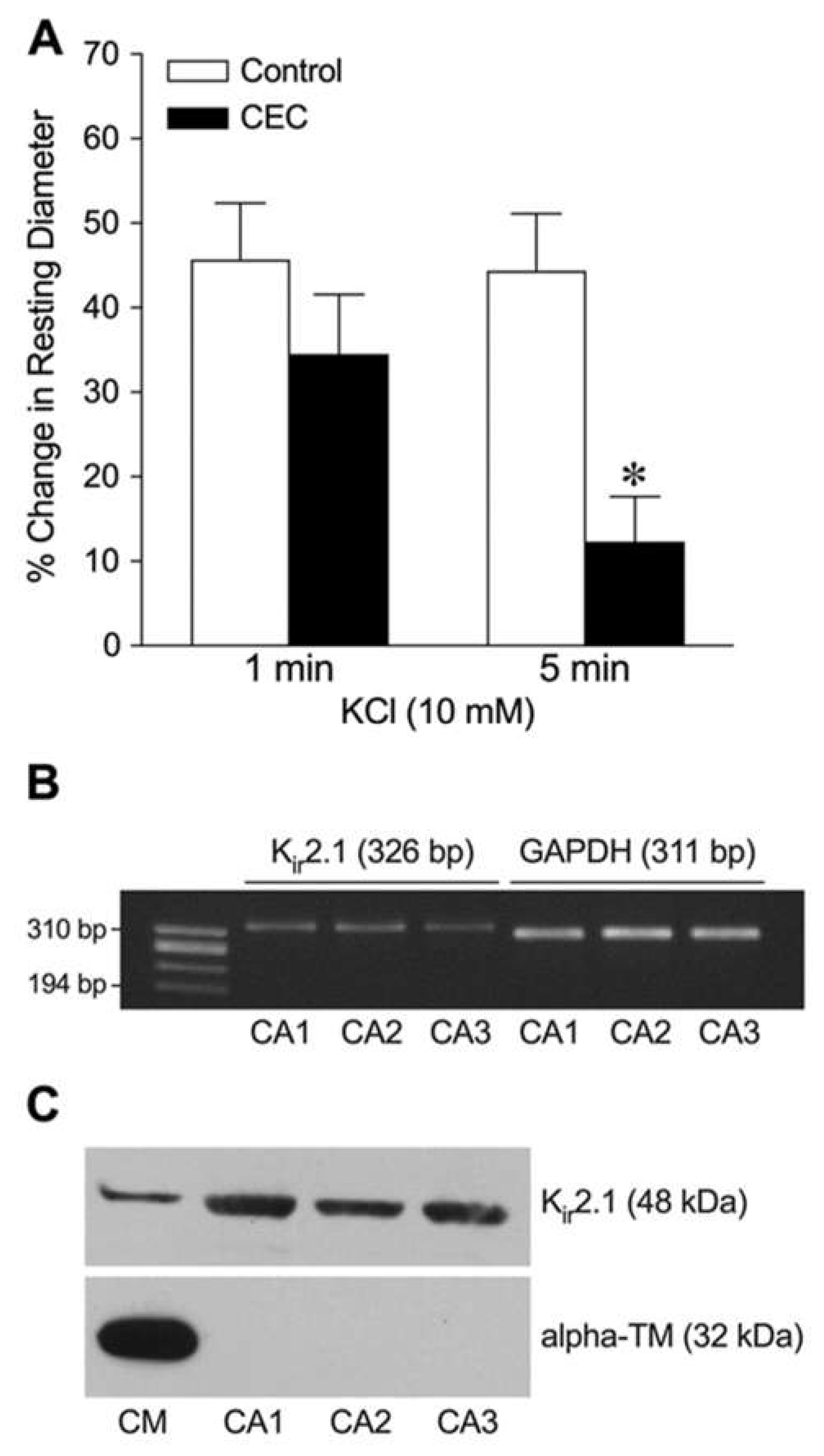 Preprints 144849 g003