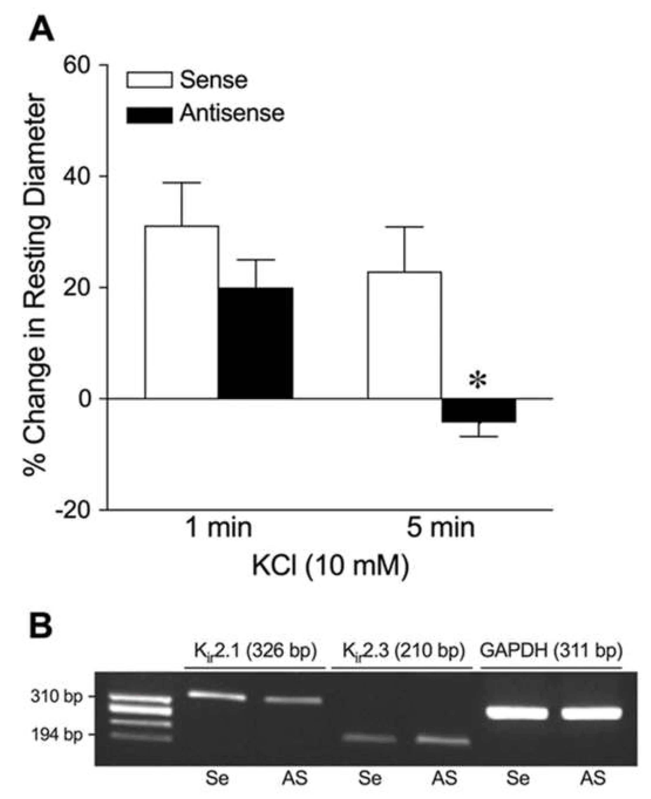 Preprints 144849 g004