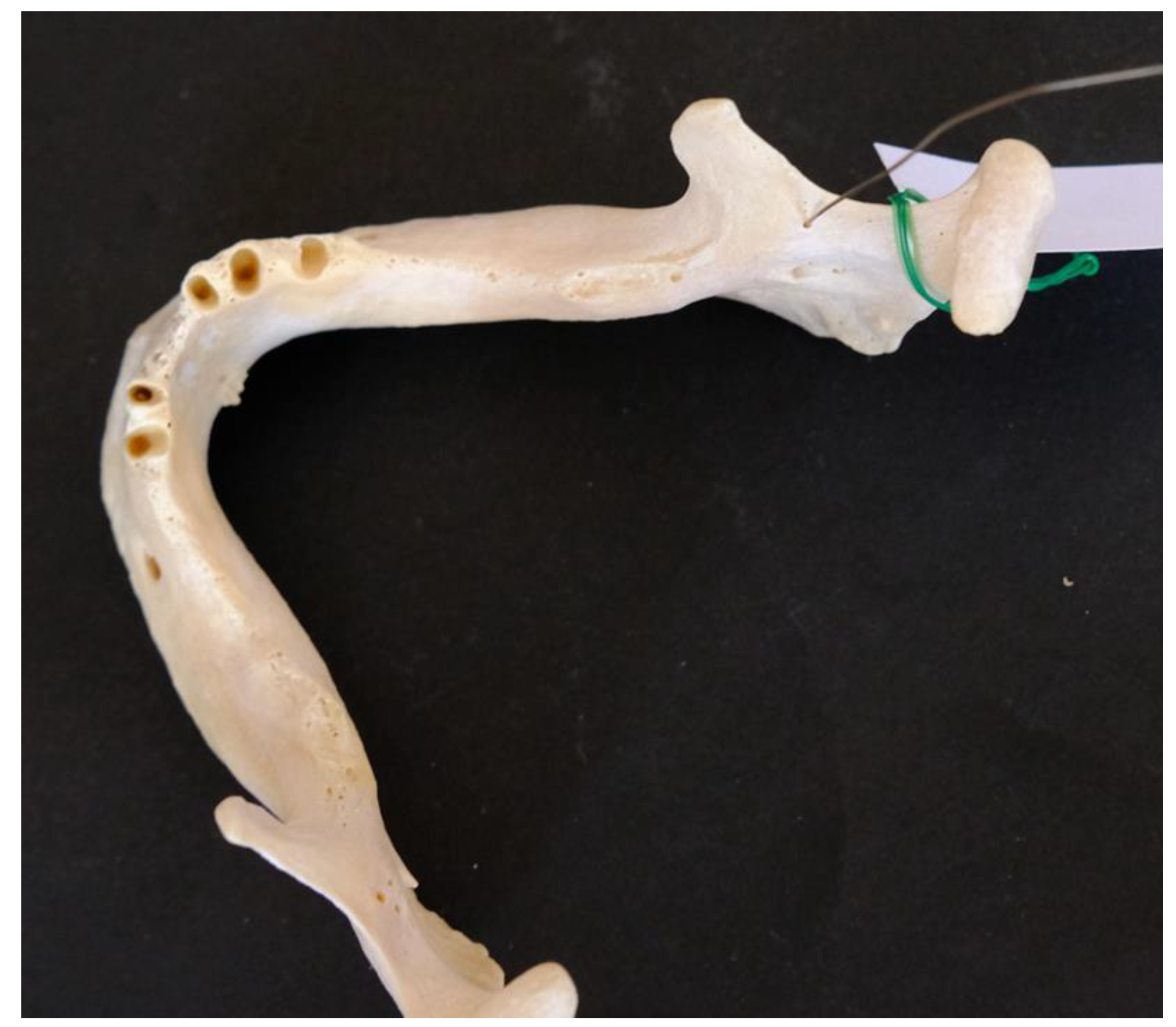 Preprints 190547 g001