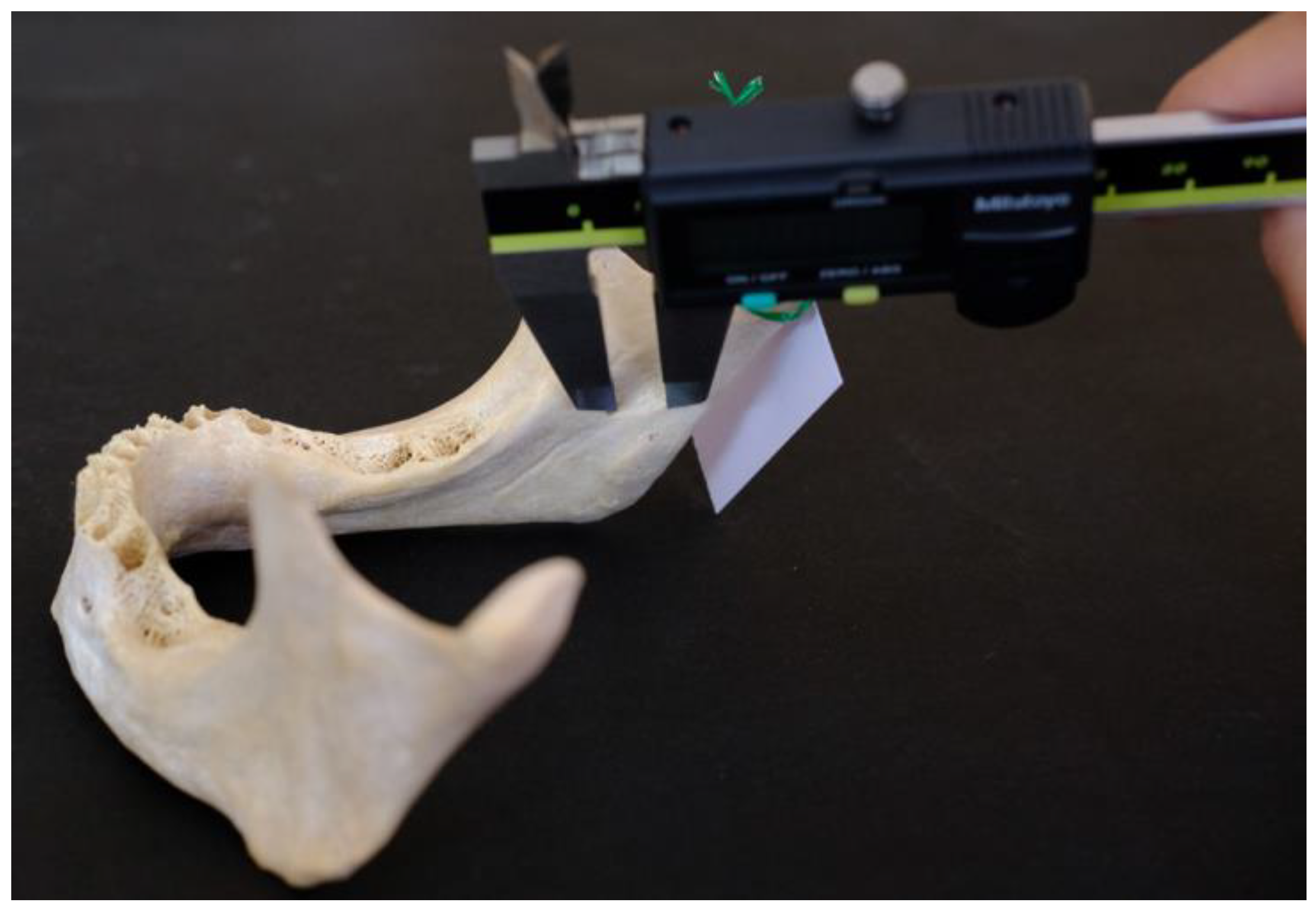 Preprints 190547 g002