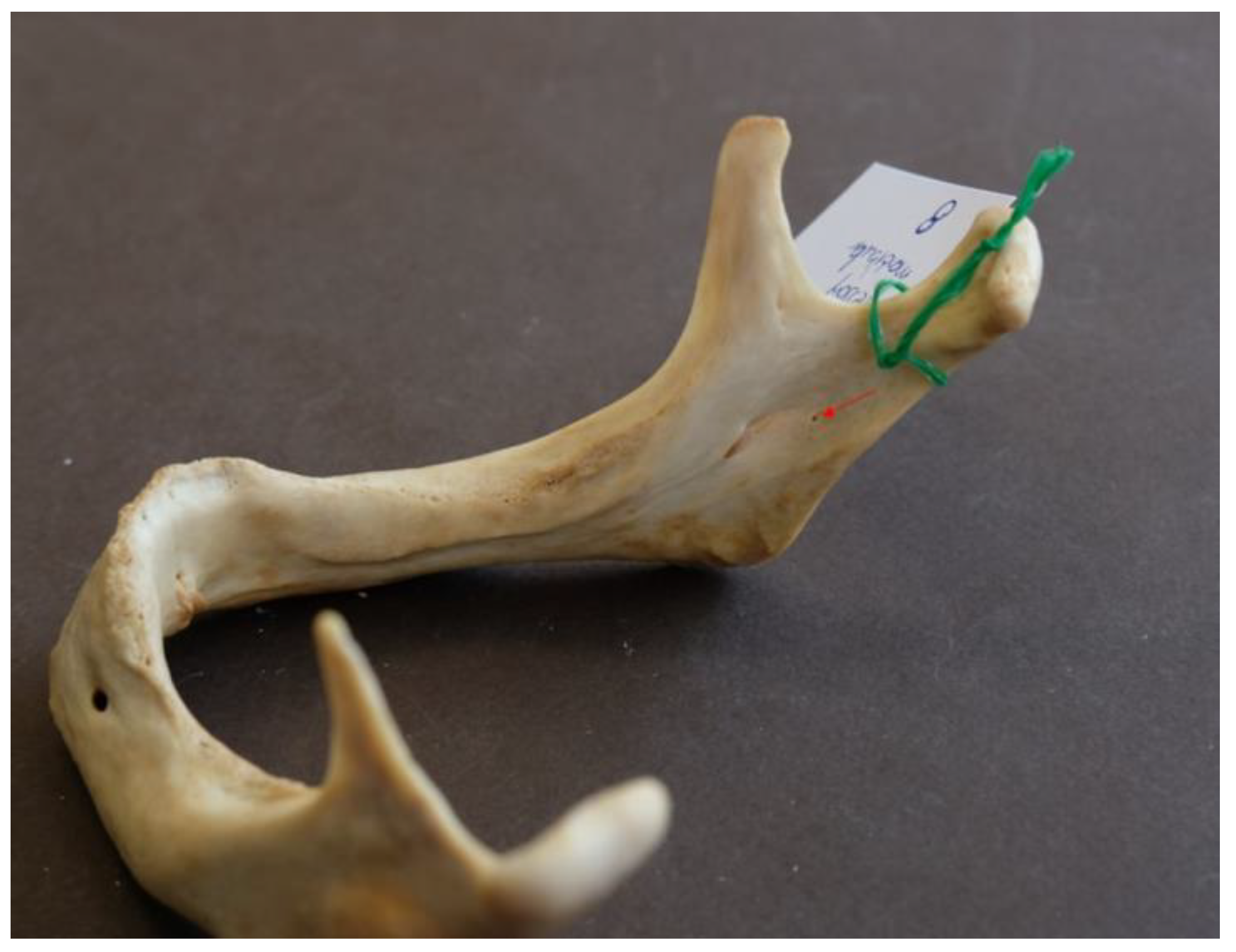 Preprints 190547 g004