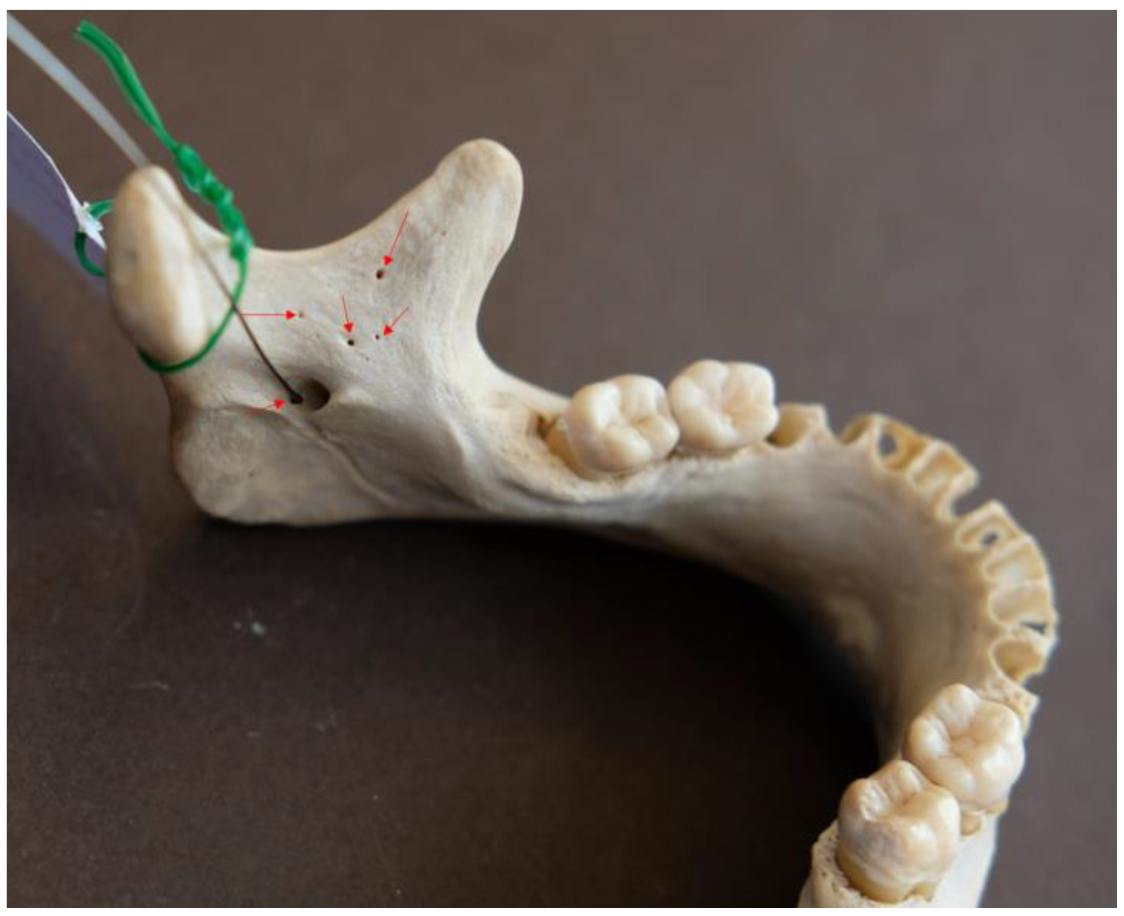 Preprints 190547 g007
