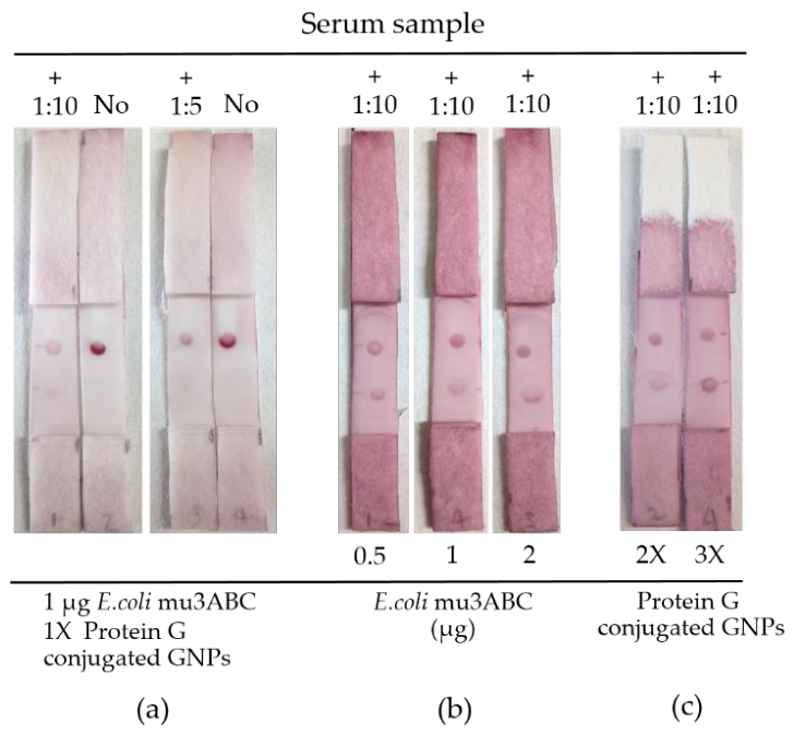 Preprints 223366 g002