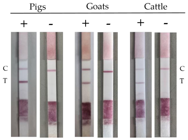 Preprints 223366 g003