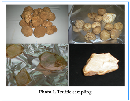 Preprints 155422 i001