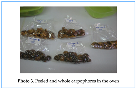 Preprints 155422 i005