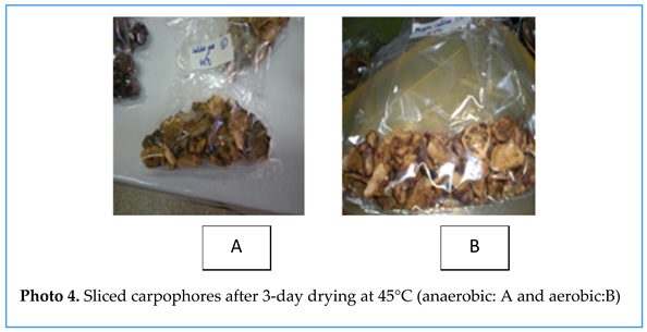 Preprints 155422 i006