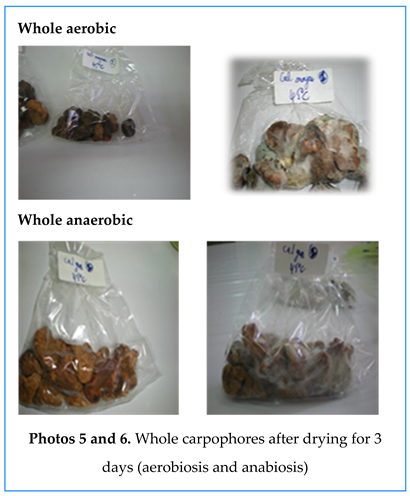 Preprints 155422 i007