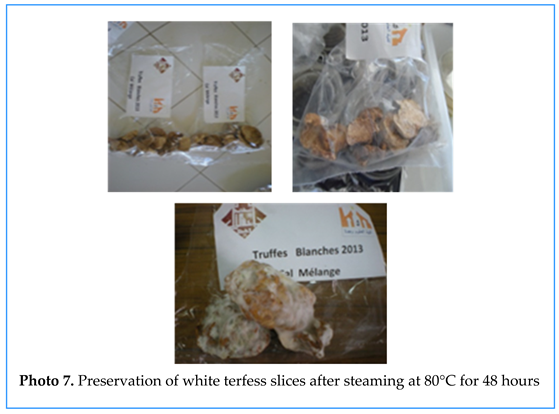 Preprints 155422 i008