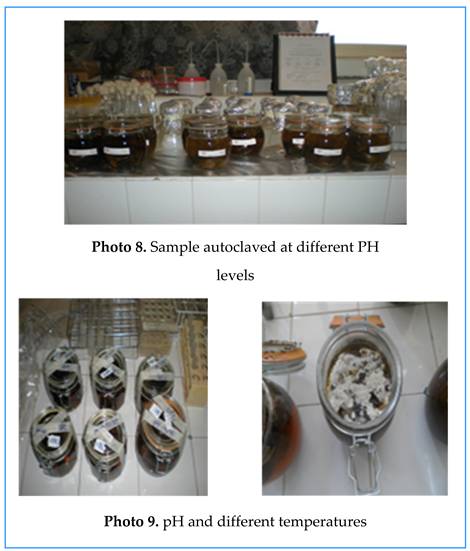 Preprints 155422 i009