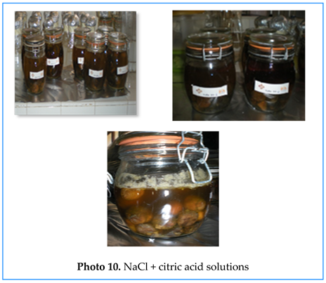 Preprints 155422 i010