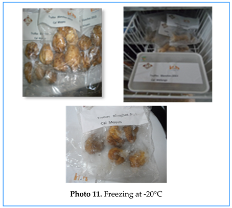 Preprints 155422 i011