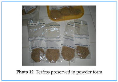 Preprints 155422 i012