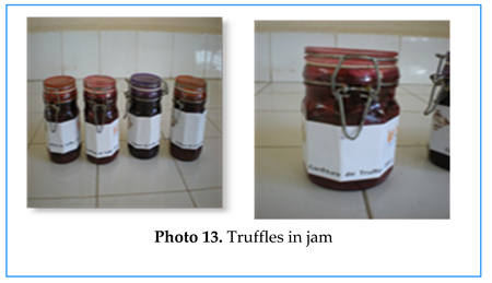 Preprints 155422 i013