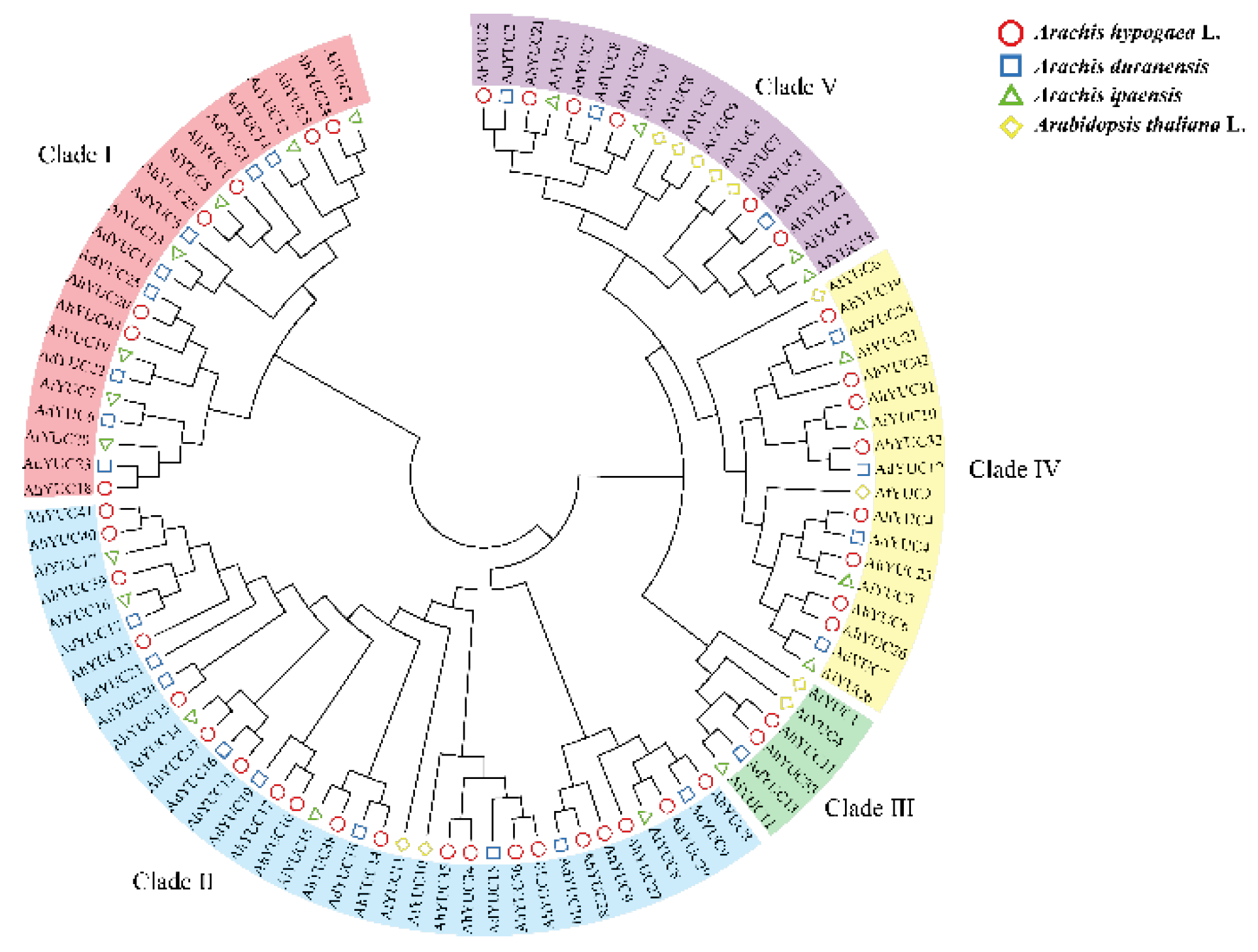 Preprints 189557 g002