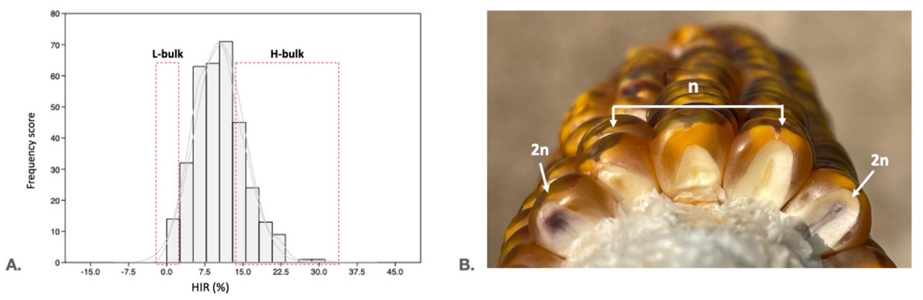 Preprints 196132 g001