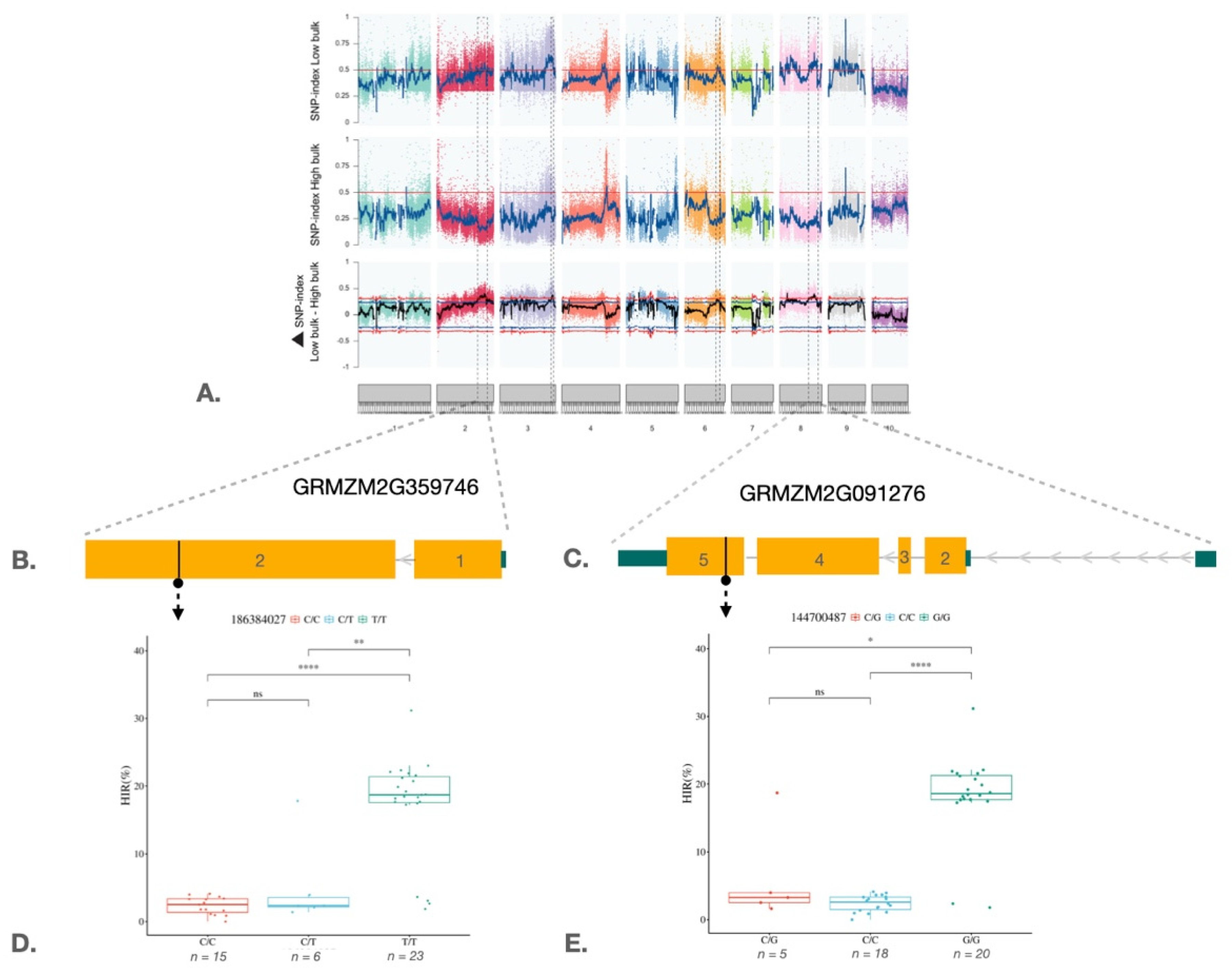 Preprints 196132 g002