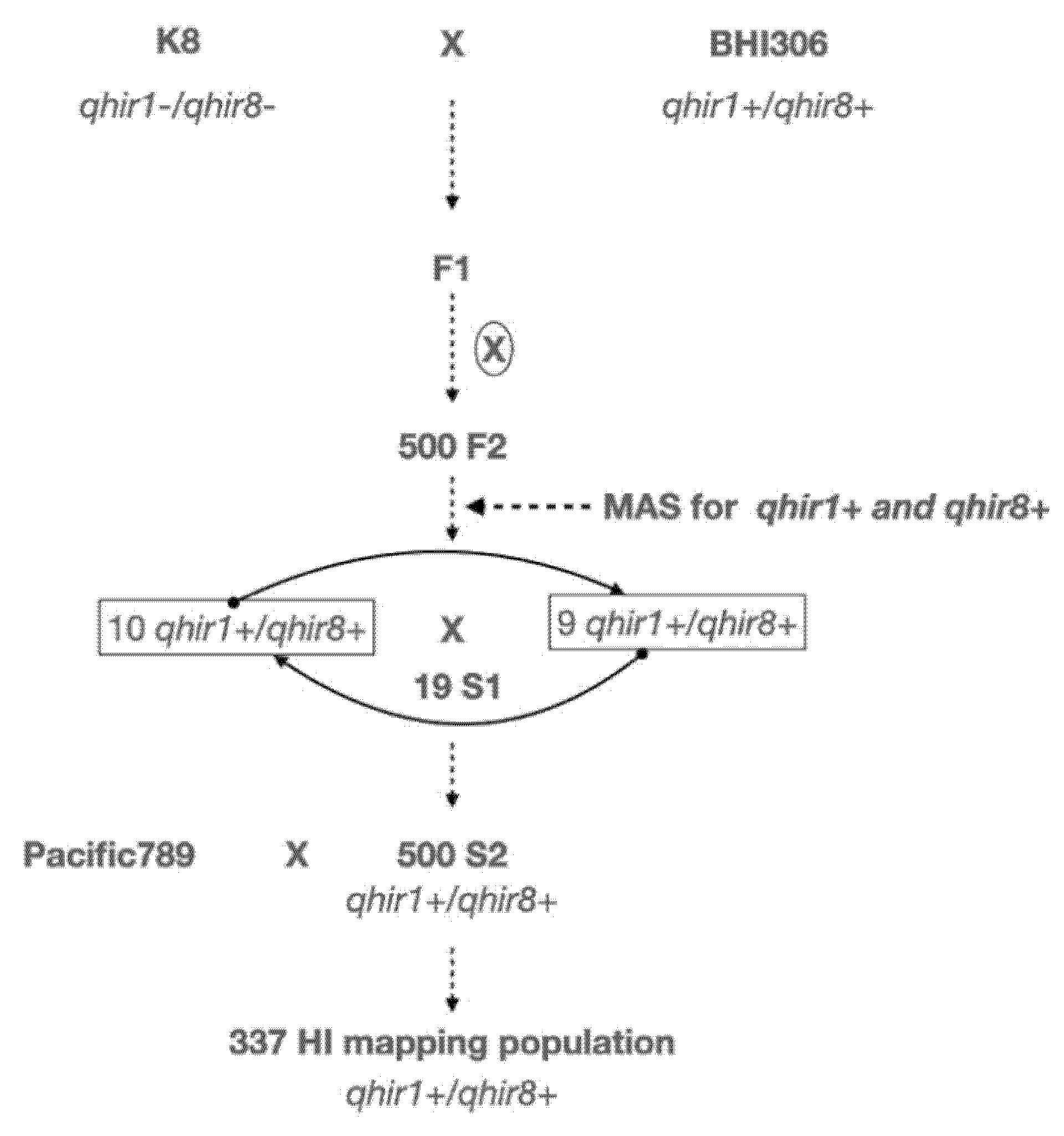 Preprints 196132 g004