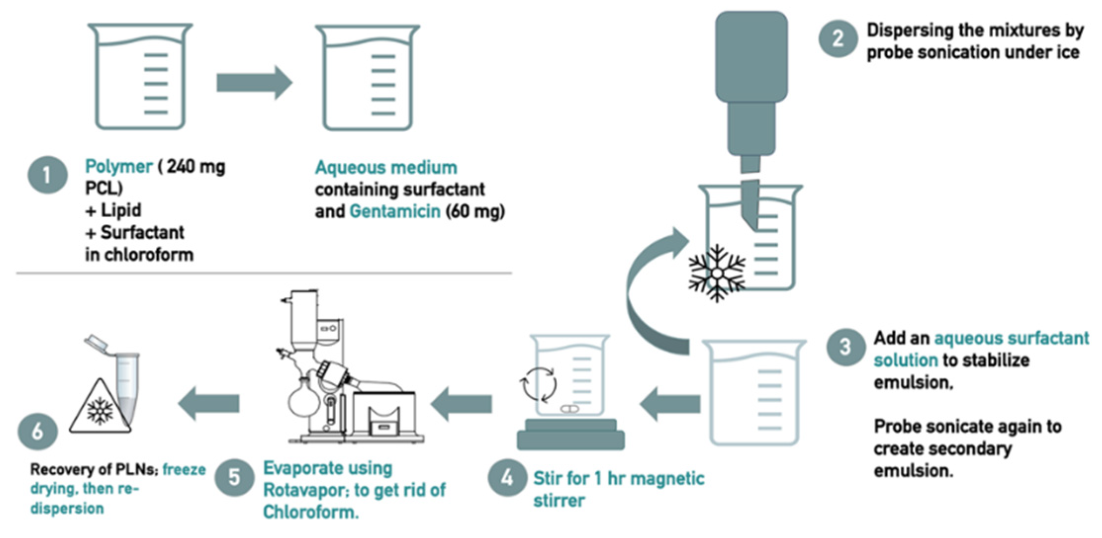 Preprints 146410 g001
