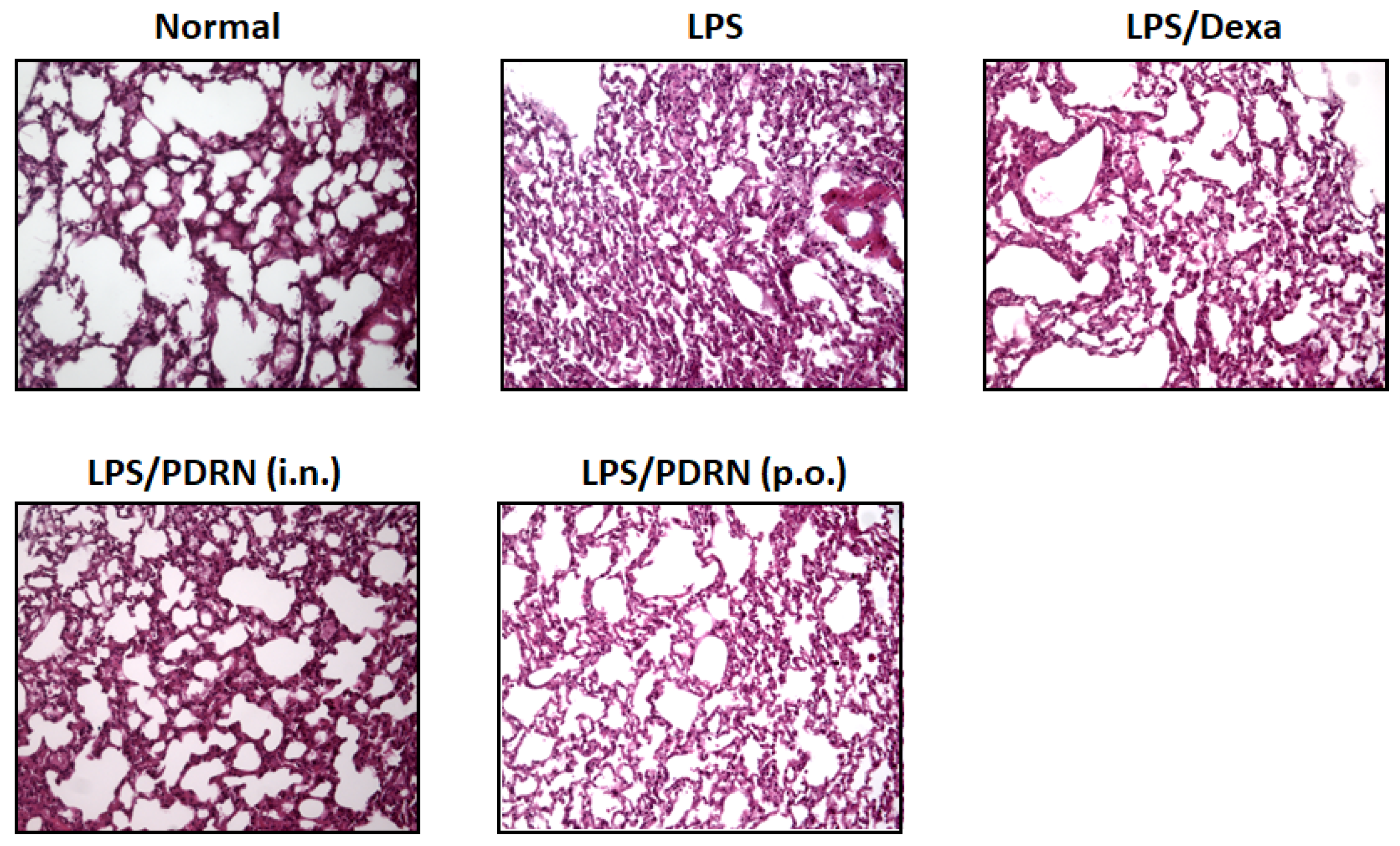 Preprints 192499 g005