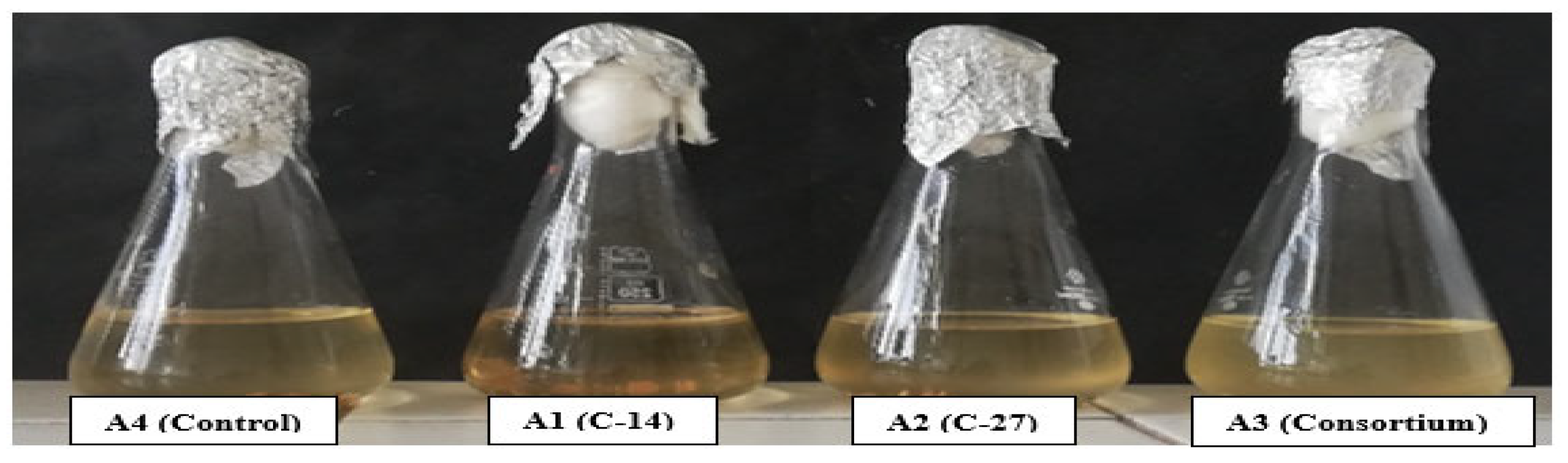 Preprints 207077 g002 Preprints 207077 g002