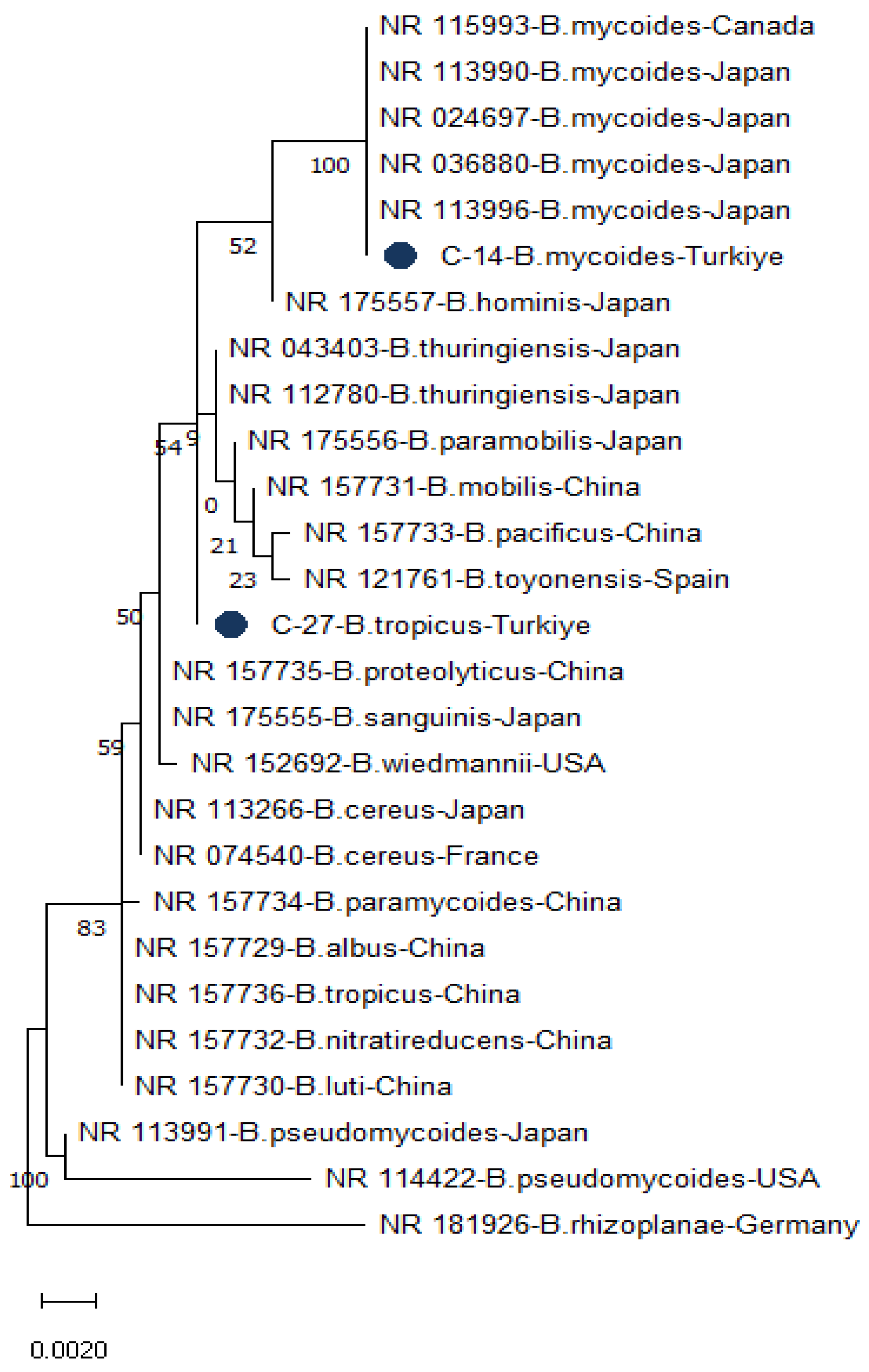 Preprints 207077 g003 Preprints 207077 g003
