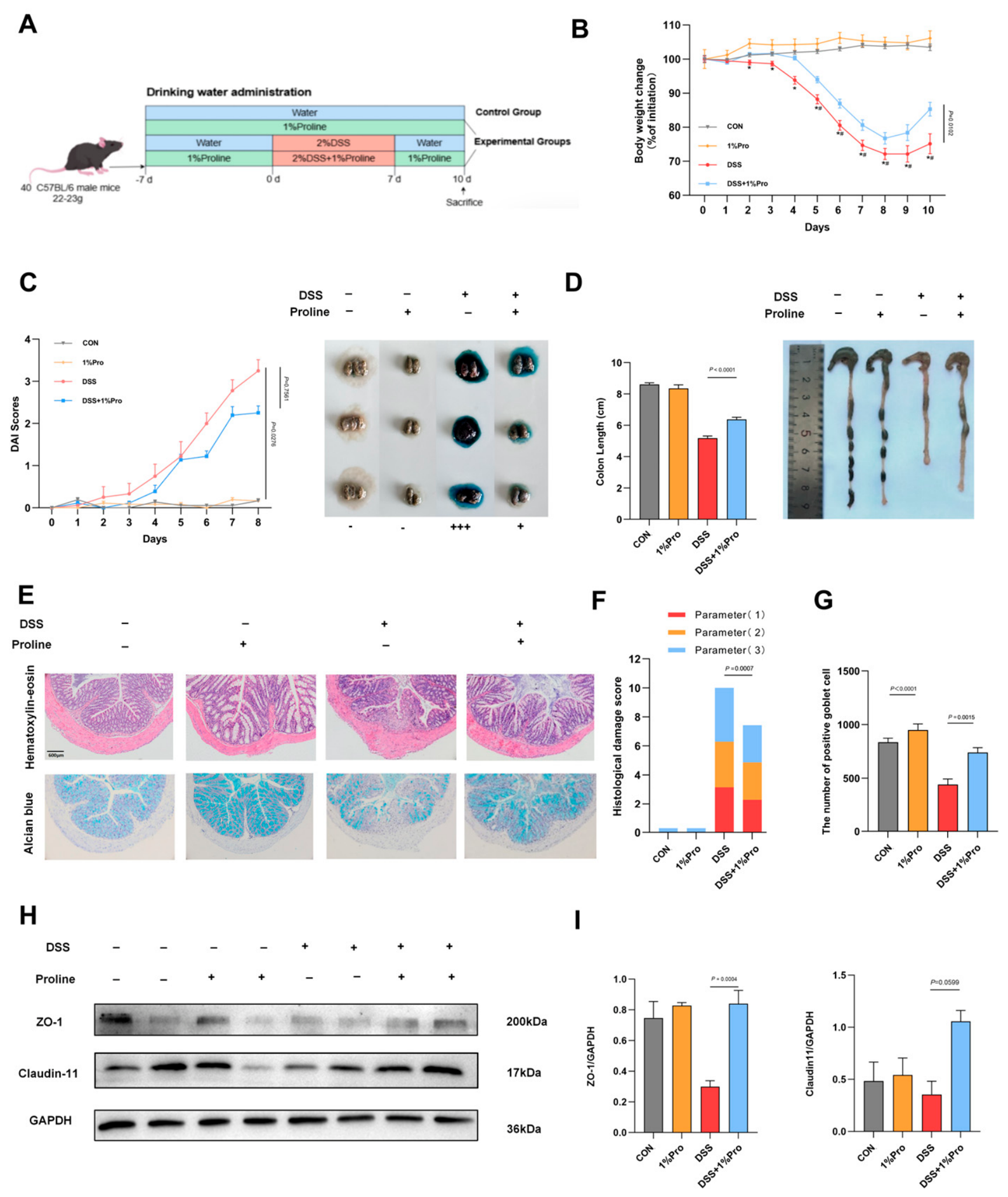 Preprints 237609 g001 Preprints 237609 g001
